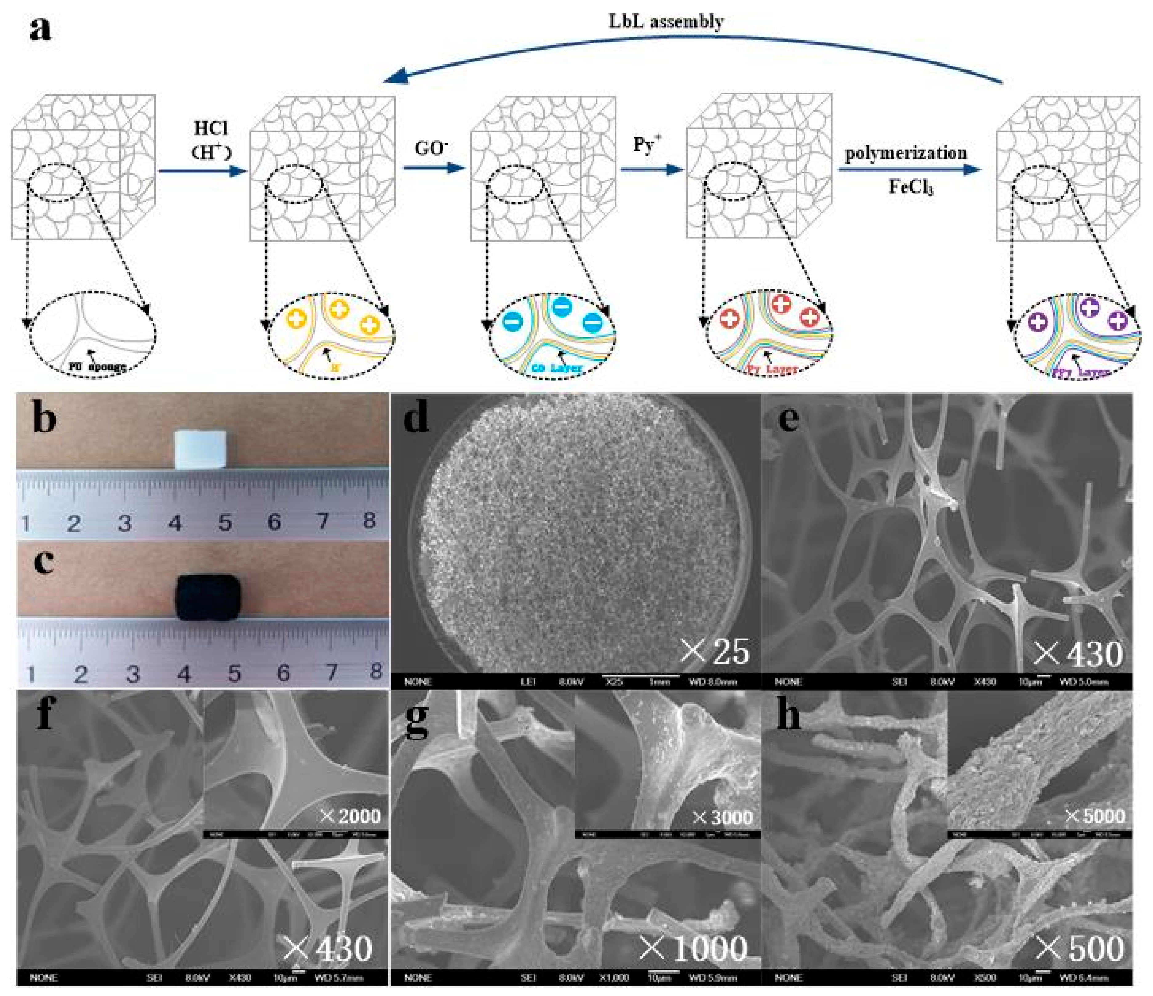 Sensors 20 01219 g001 Sensors 20 01219 g001