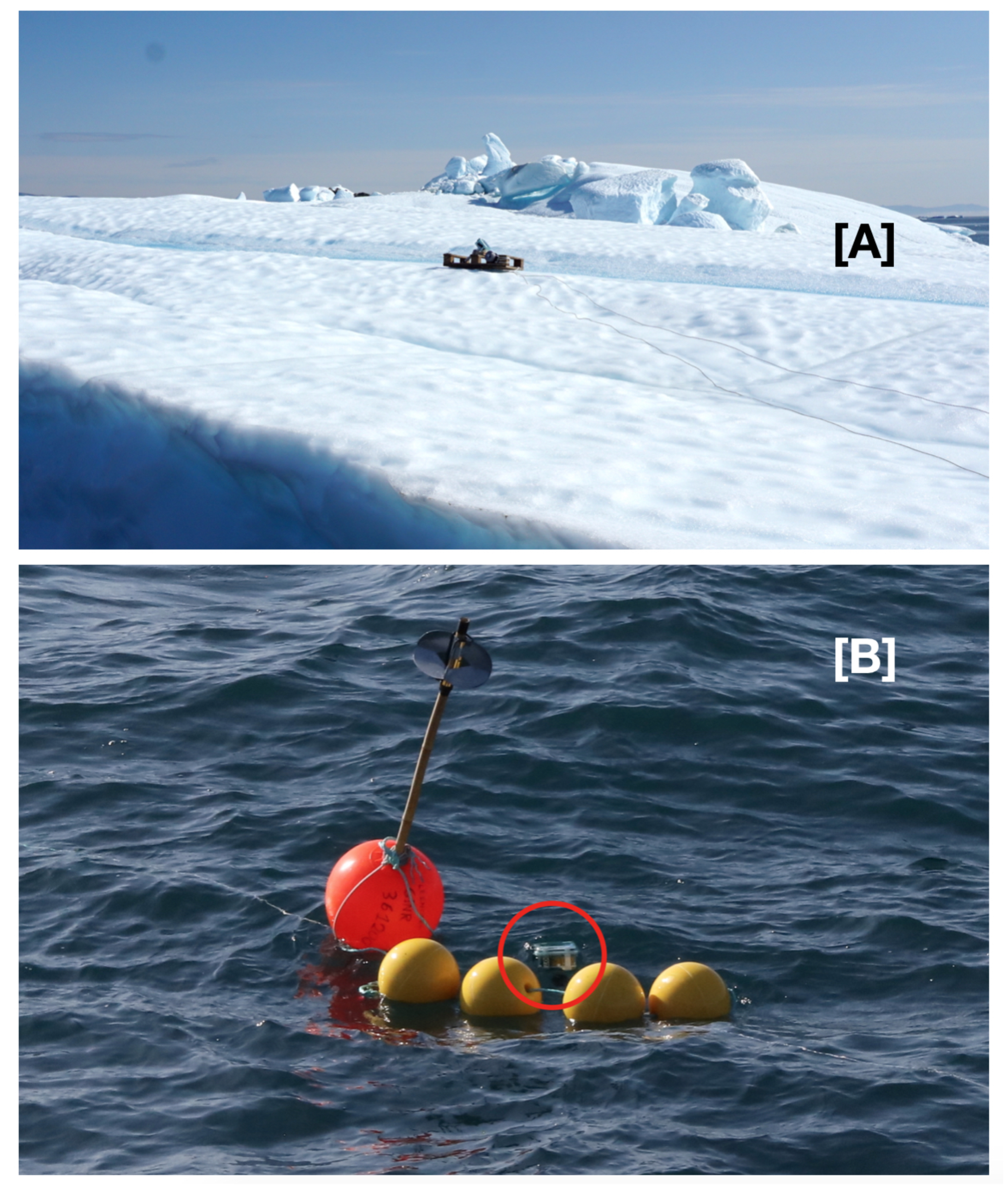 Sensors 20 01254 g006 Sensors 20 01254 g006