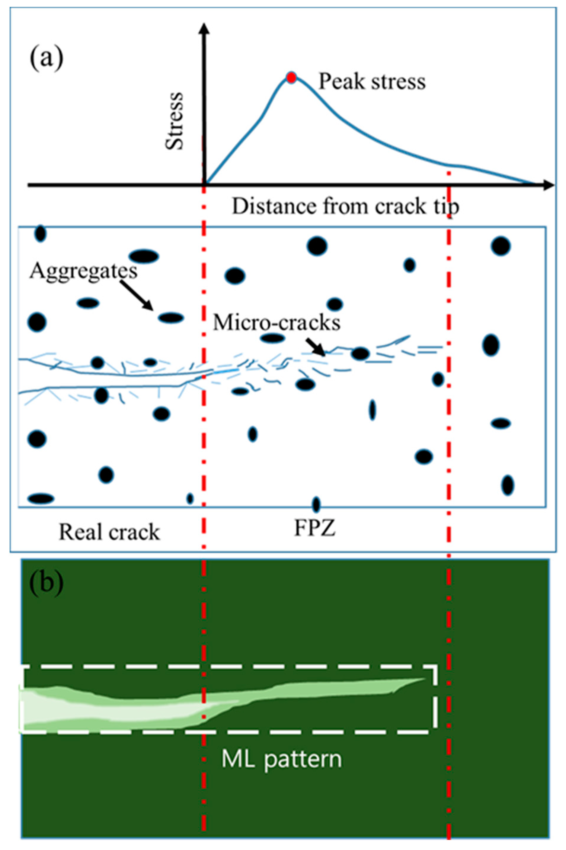 Sensors 20 01257 g005
