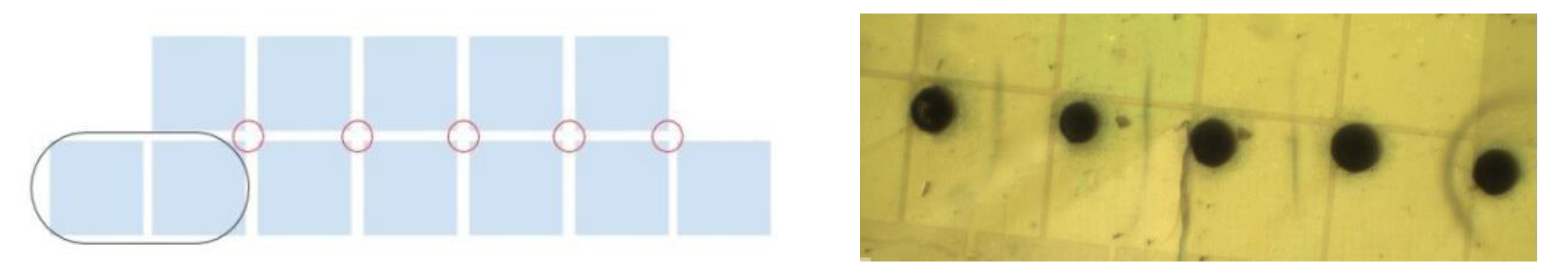 Sensors 20 01281 g005