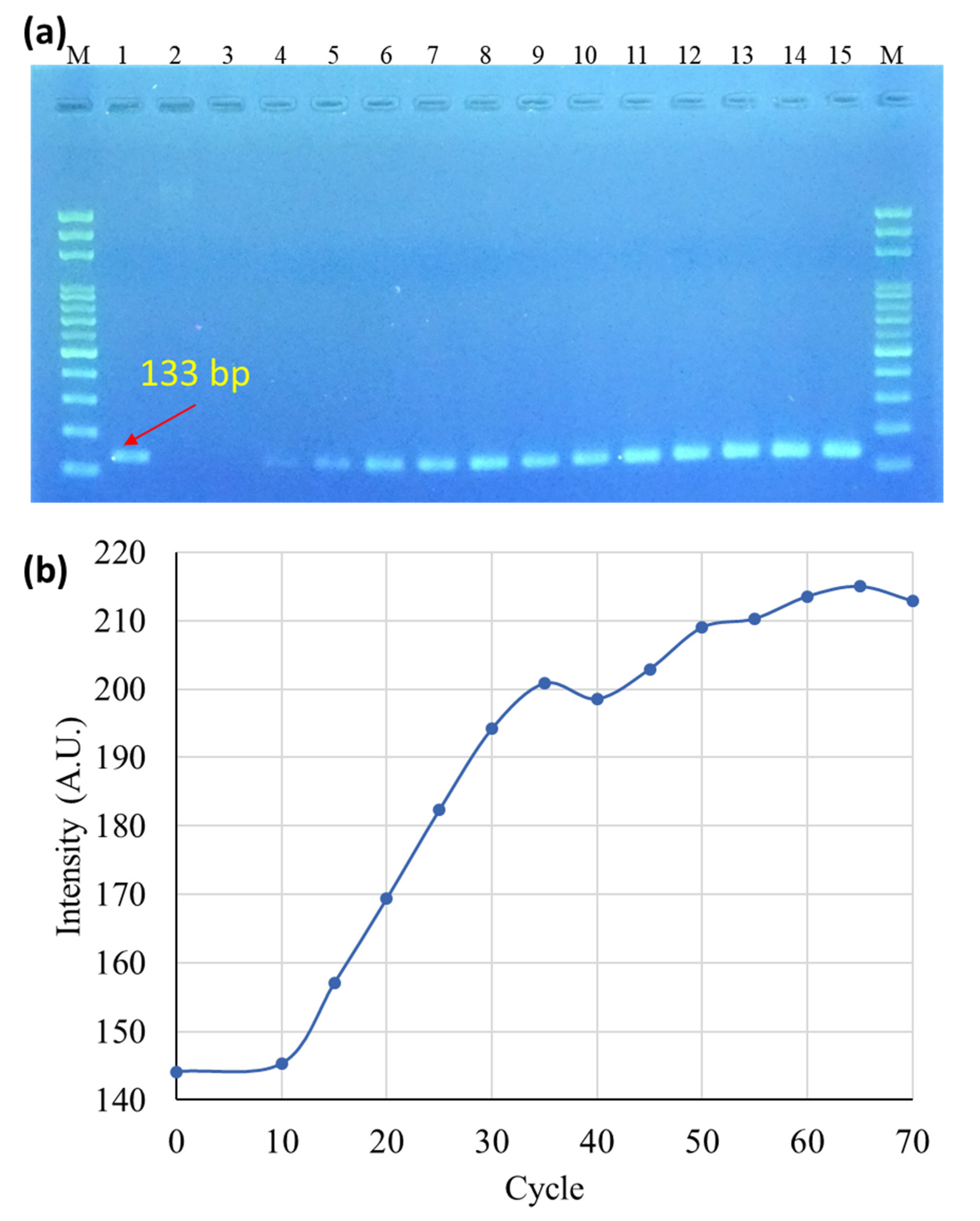 Sensors 20 01293 g005