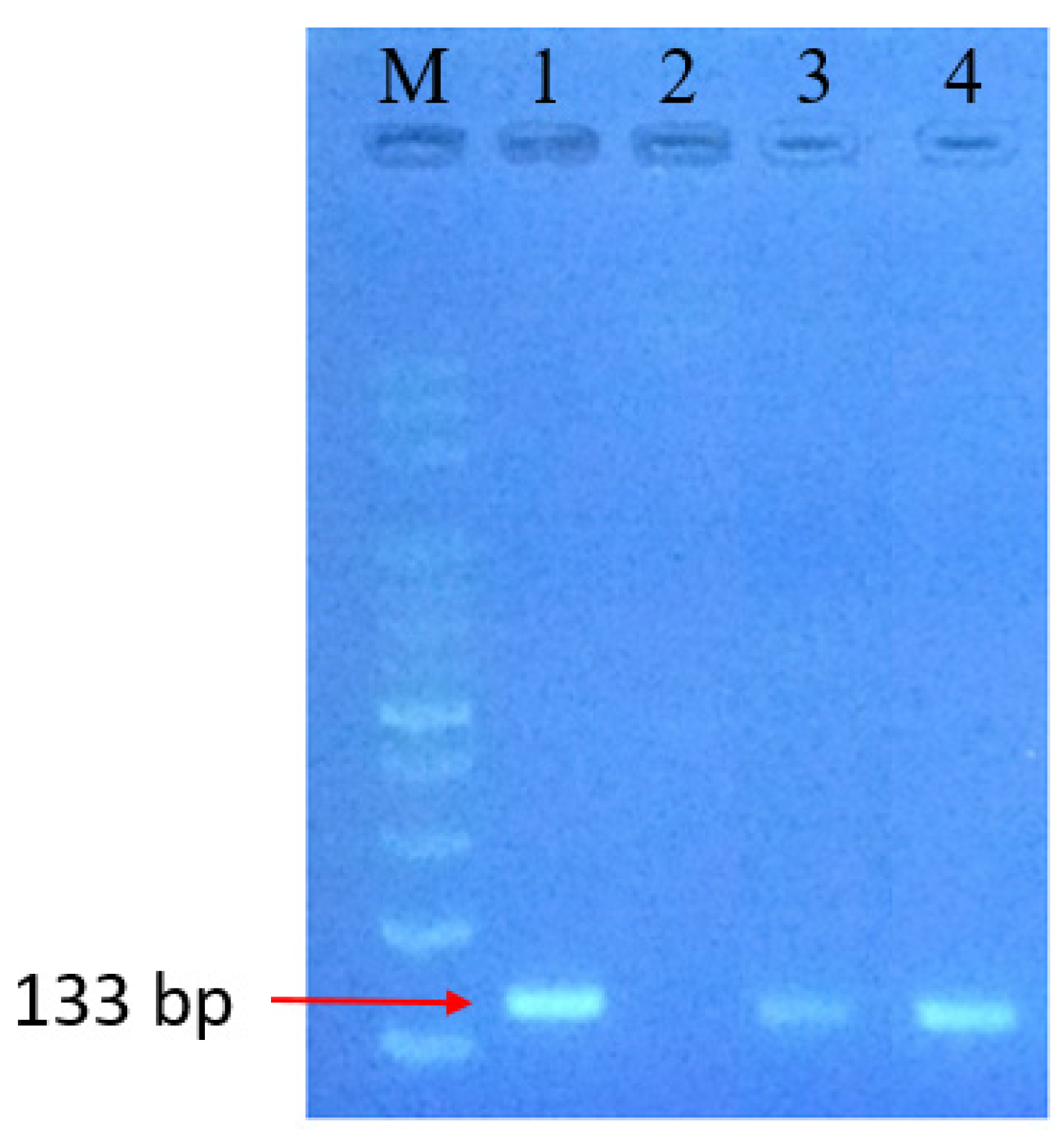 Sensors 20 01293 g006