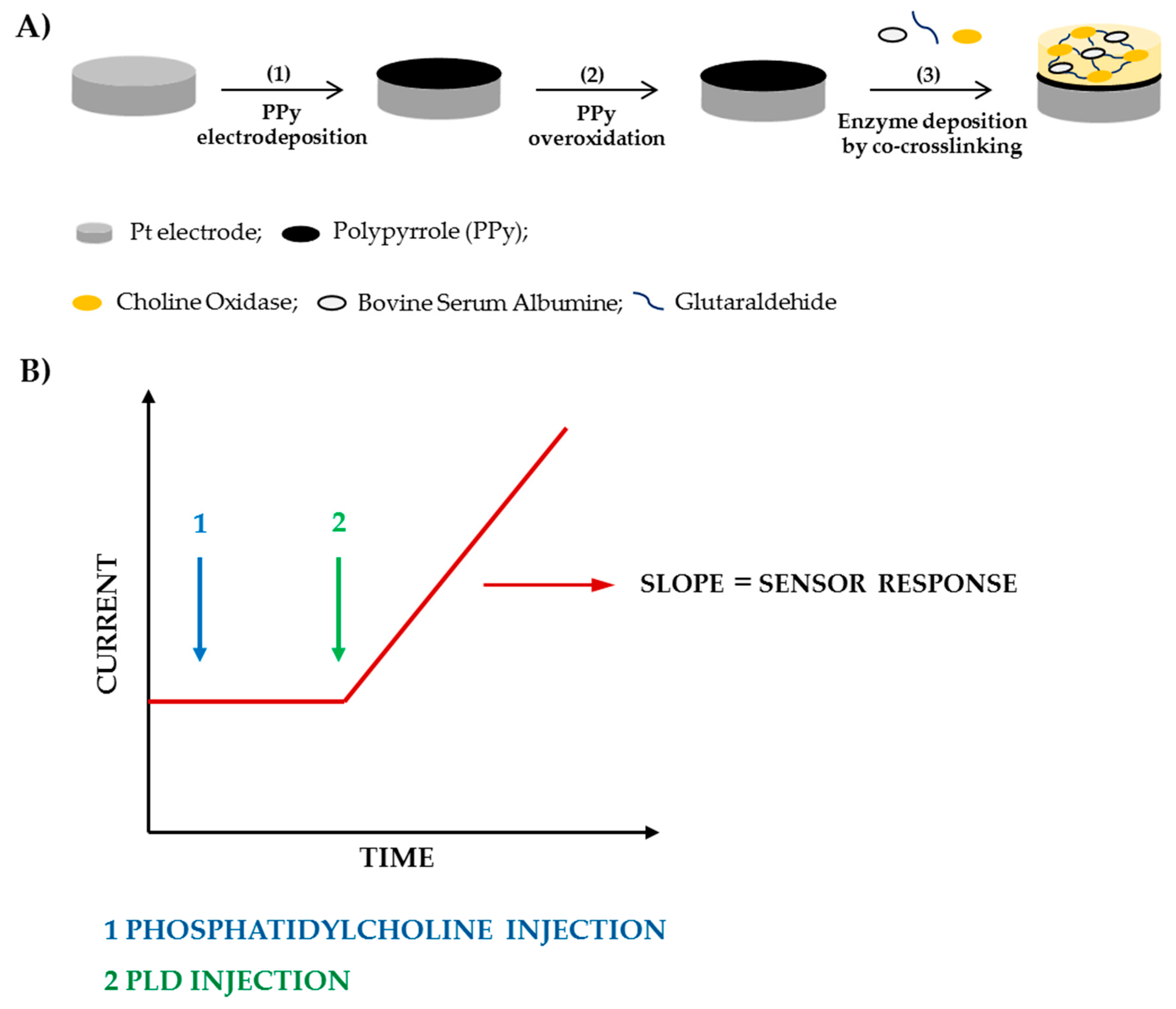 Sensors 20 01304 sch001