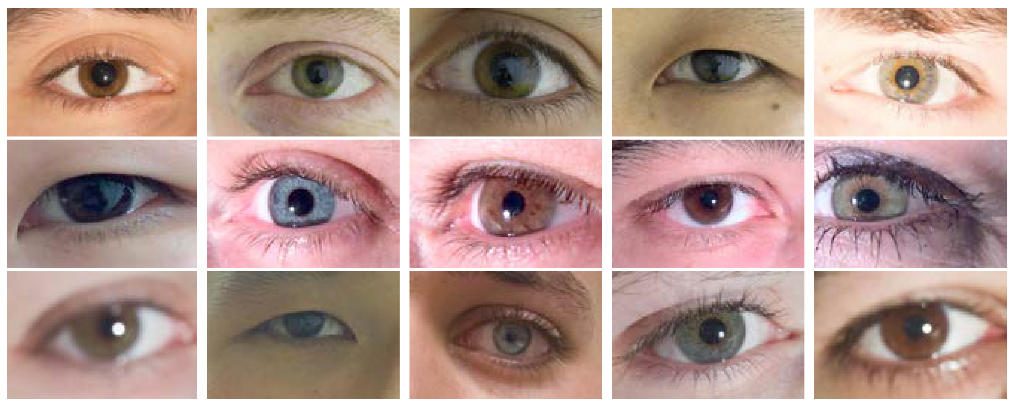 Sensors 20 01308 g004 Sensors 20 01308 g004