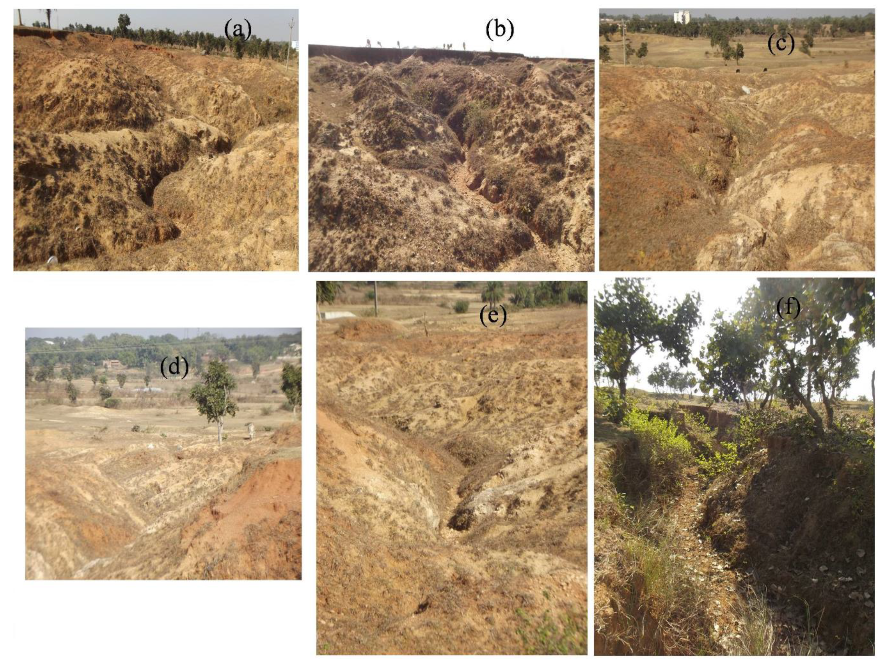 Sensors 20 01313 g003