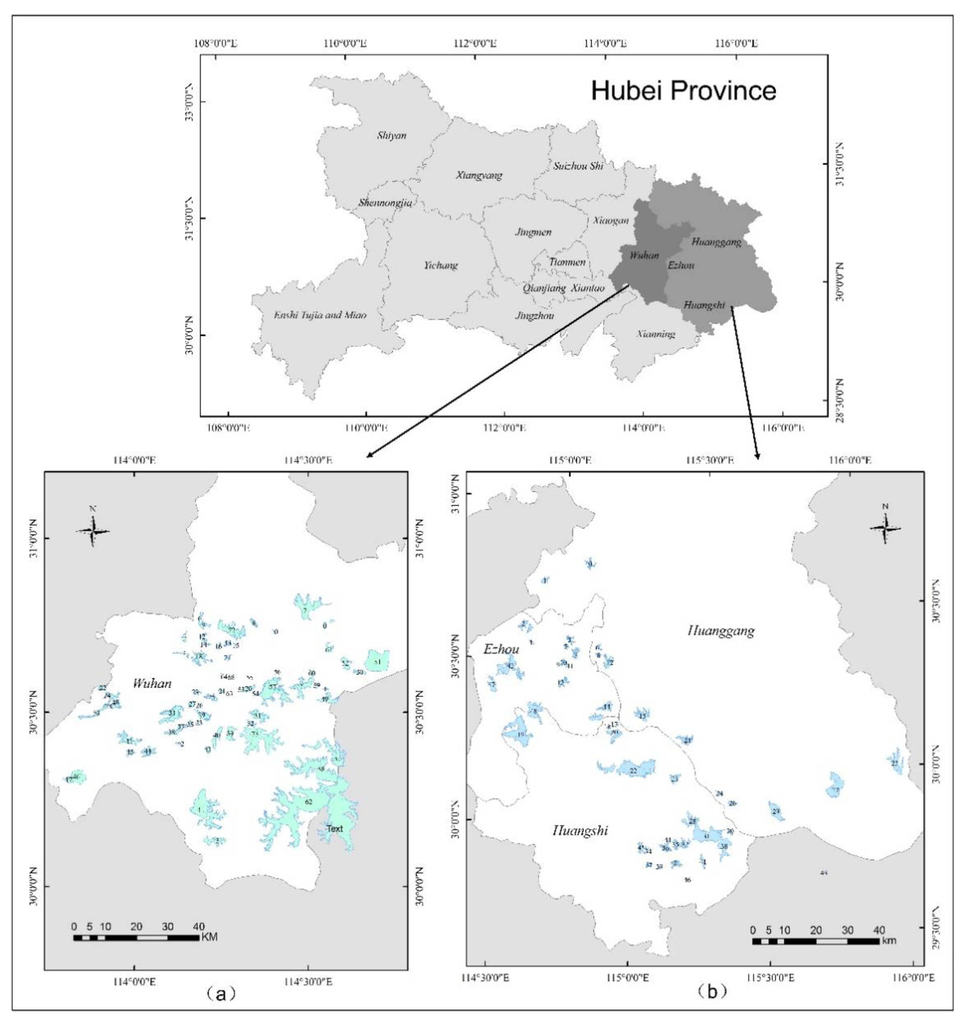 Sensors 20 01345 g001