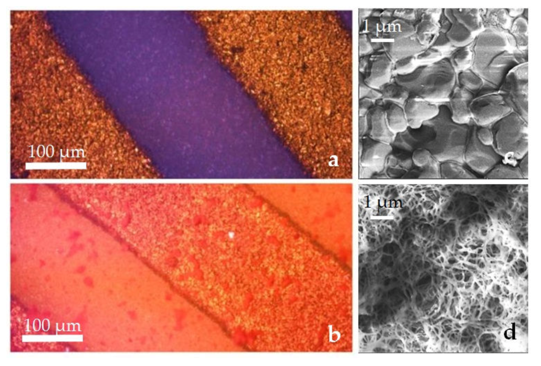 Sensors 20 01385 g006