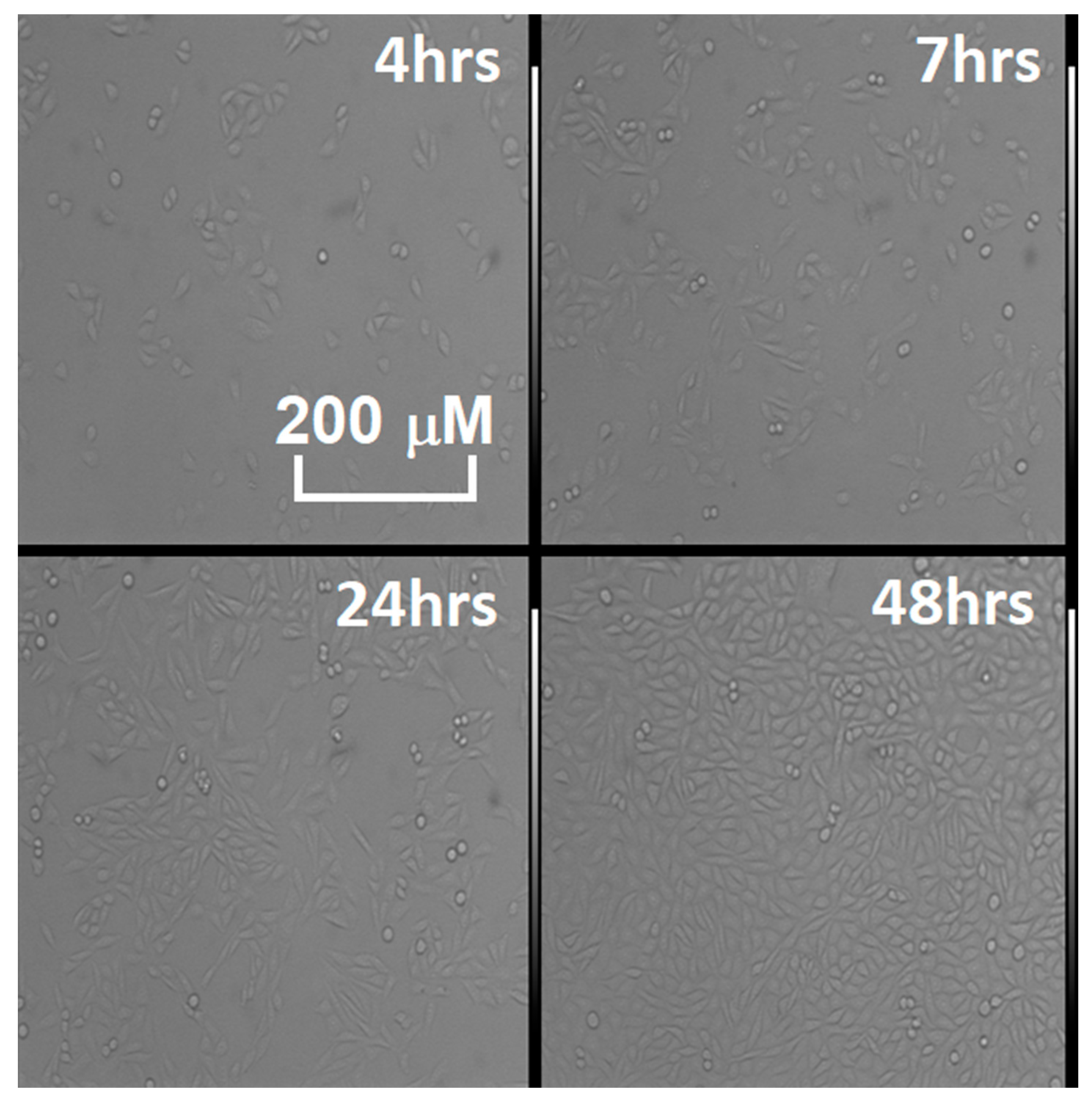 Sensors 20 01411 g003 Sensors 20 01411 g003
