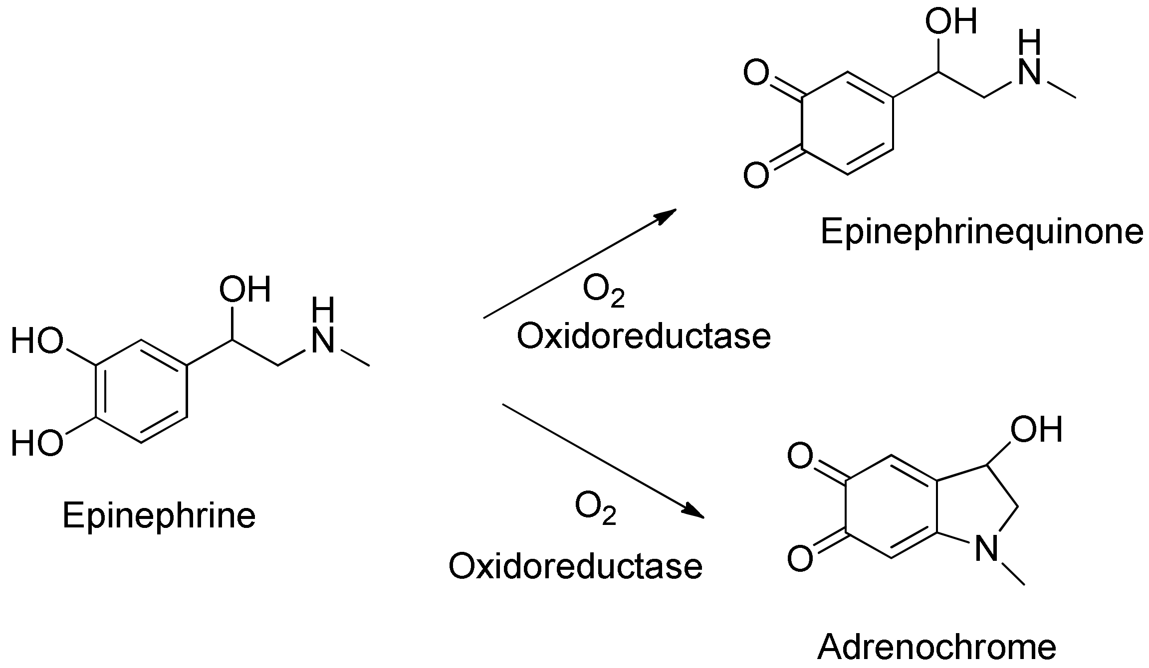 Sensors 20 01429 g011 Sensors 20 01429 g011