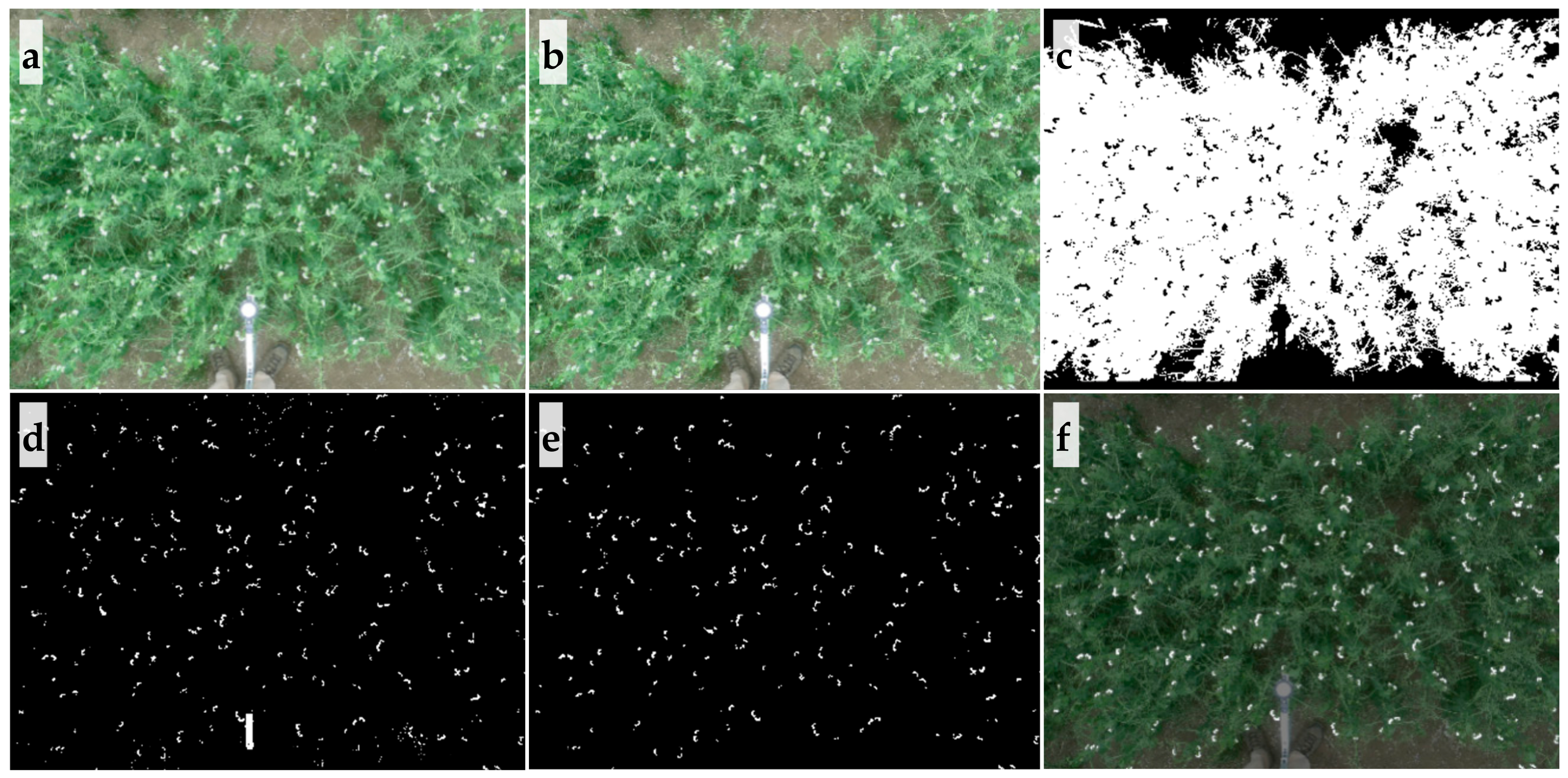 Sensors 20 01450 g002