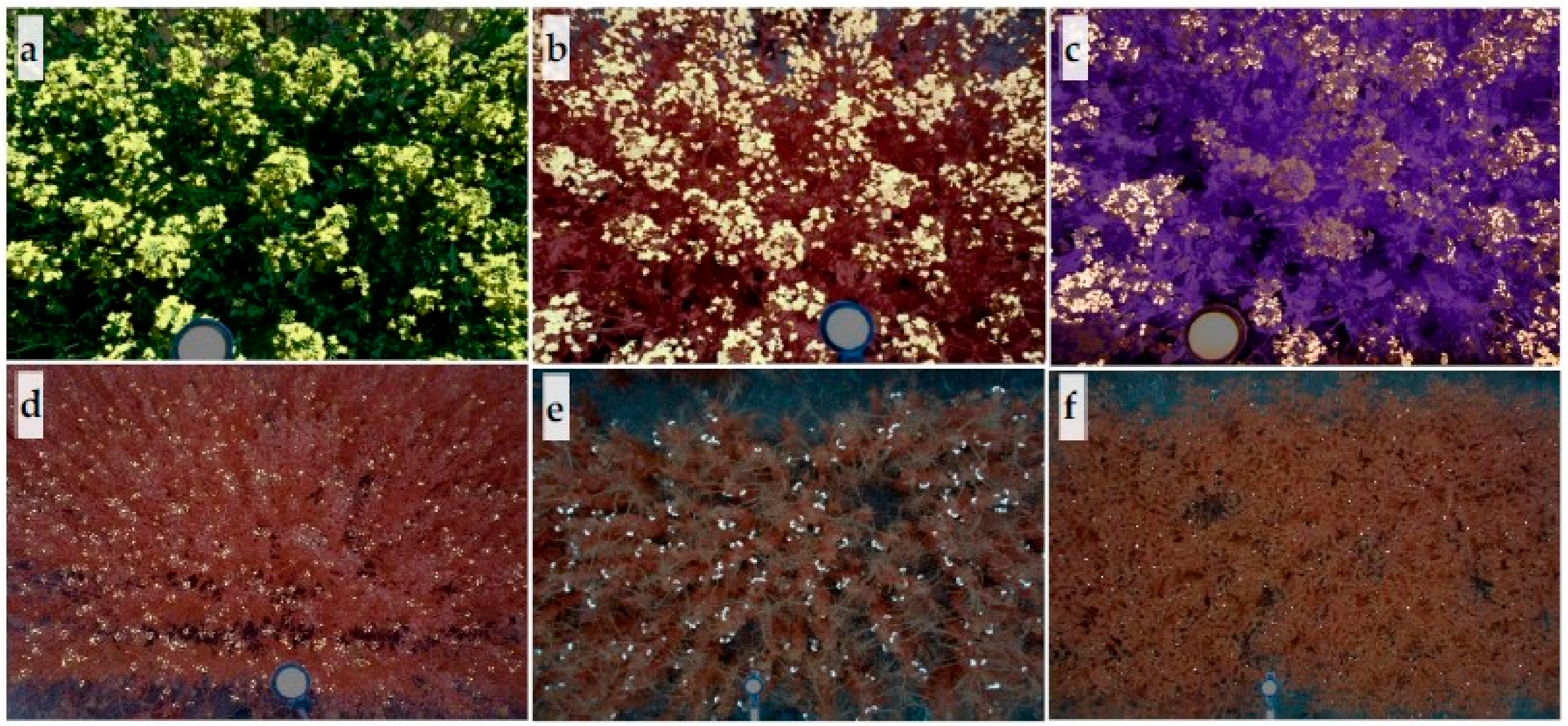 Sensors 20 01450 g003