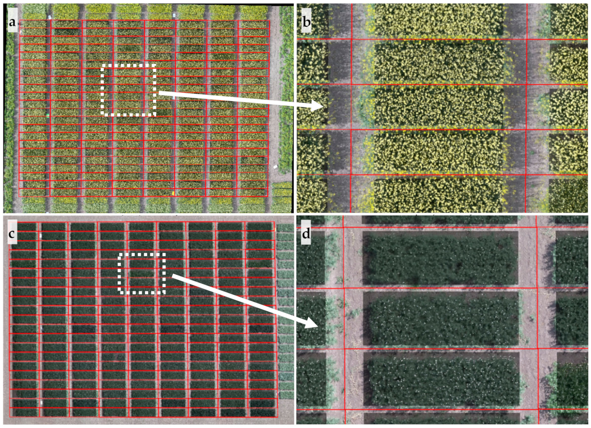Sensors 20 01450 g004