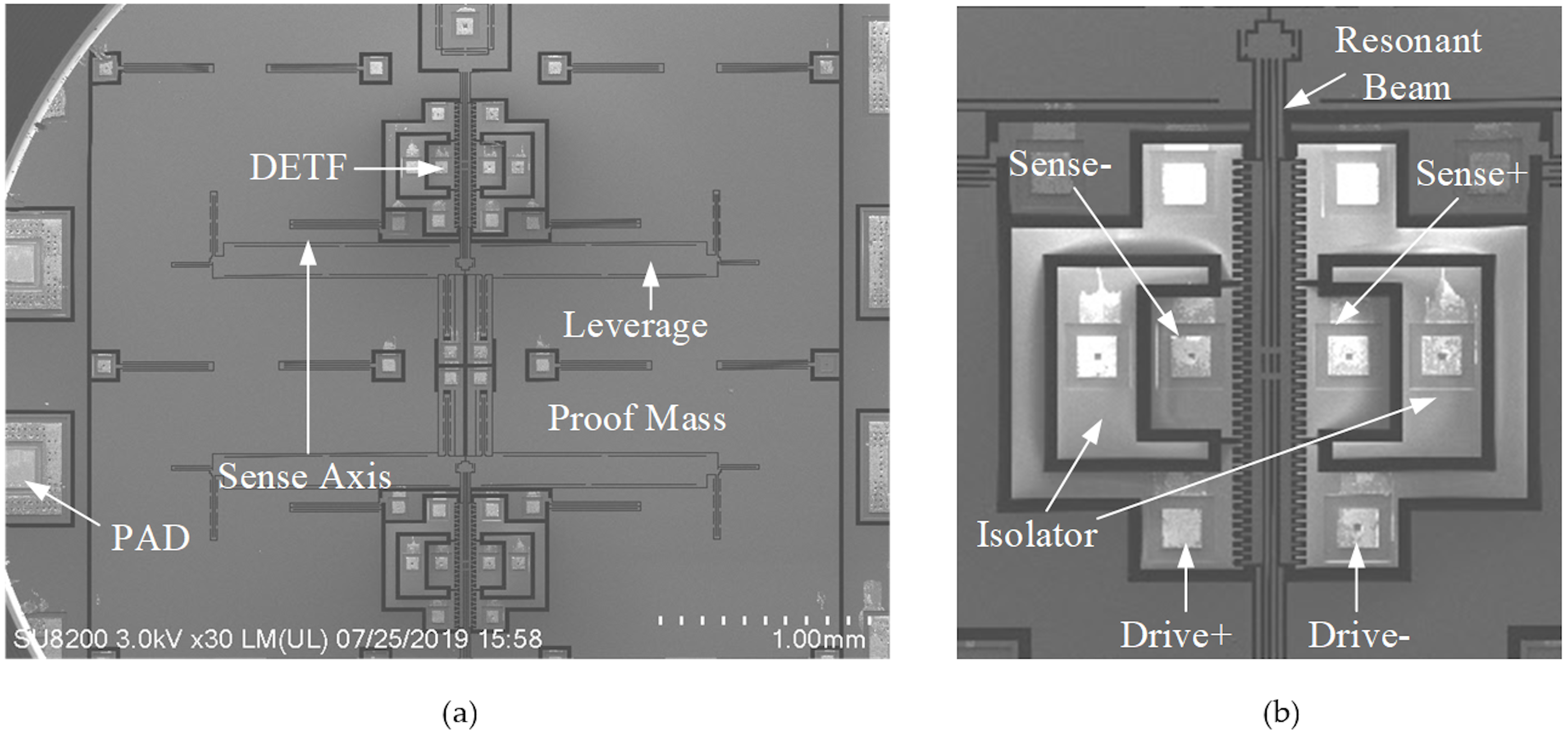 Sensors 20 01455 g001