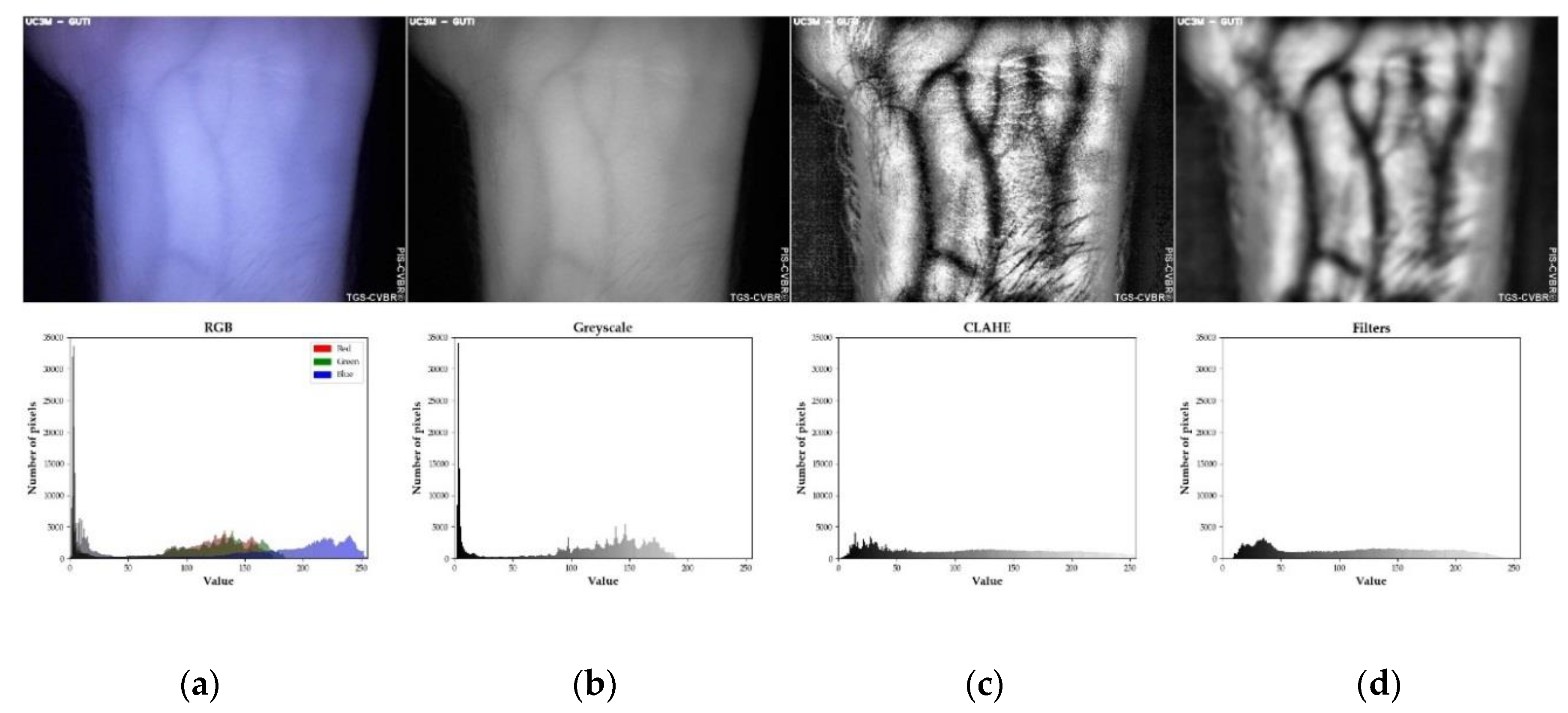 Sensors 20 01469 g003 Sensors 20 01469 g003