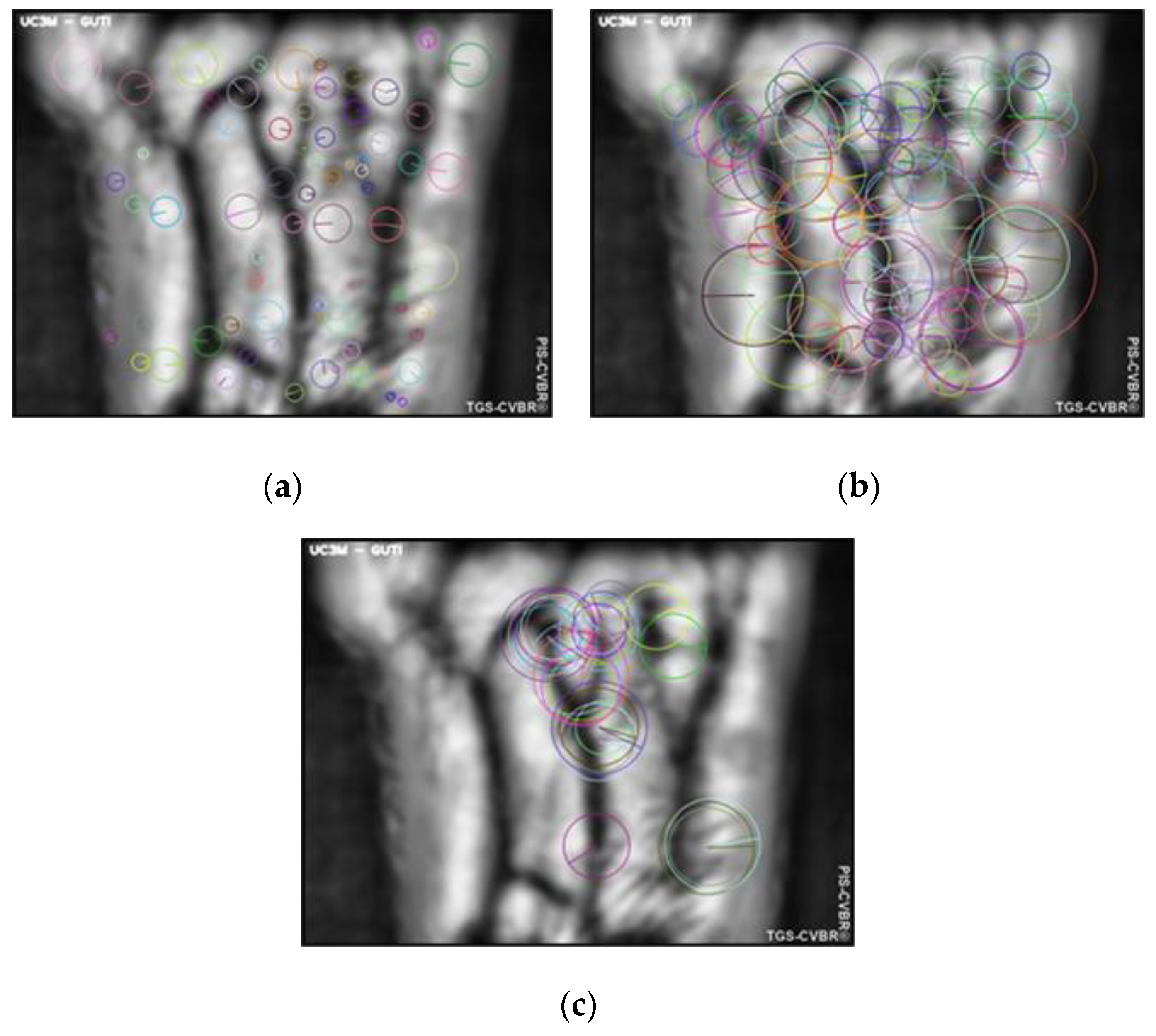 Sensors 20 01469 g004 Sensors 20 01469 g004