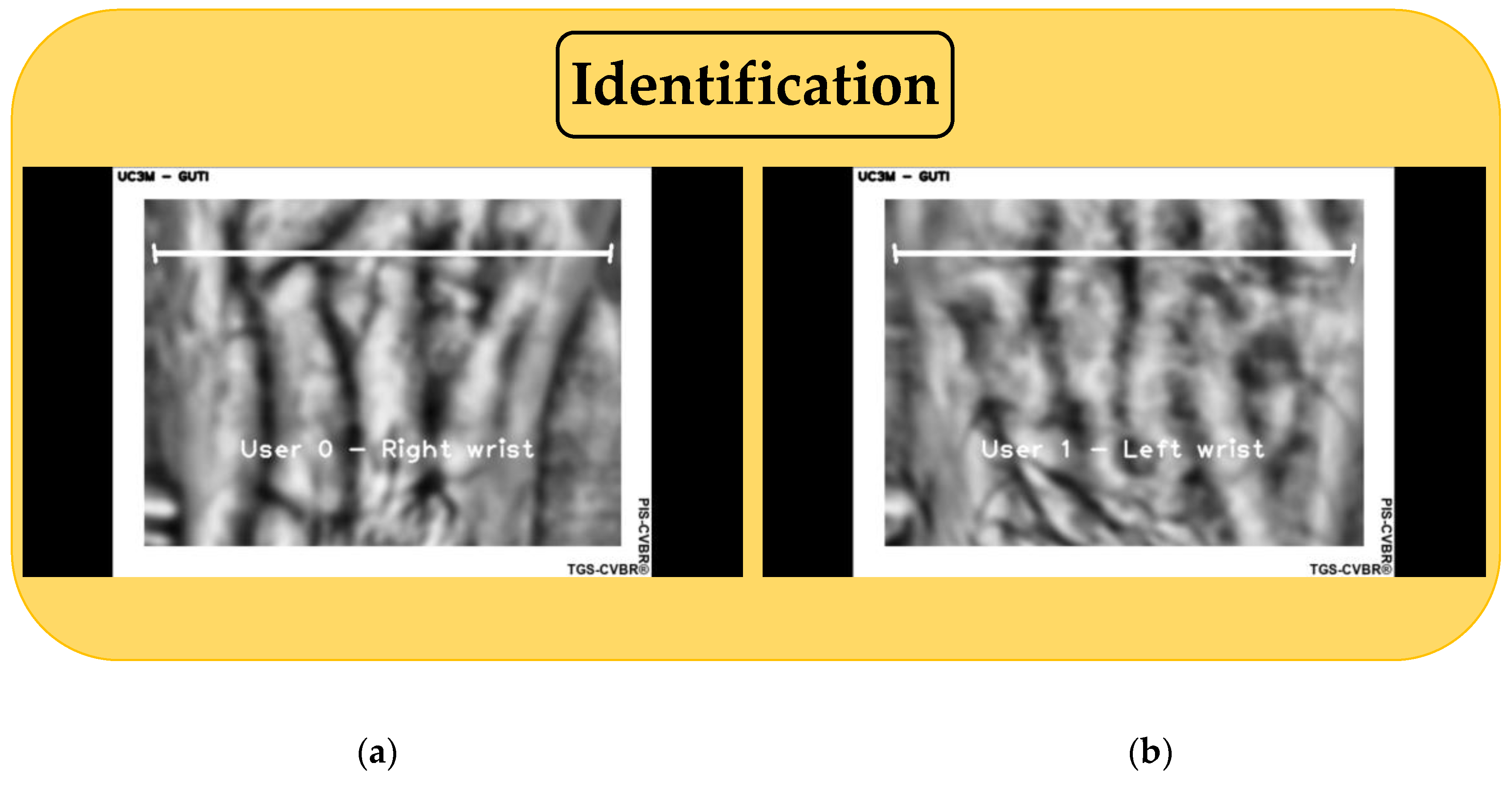 Sensors 20 01469 g008 Sensors 20 01469 g008