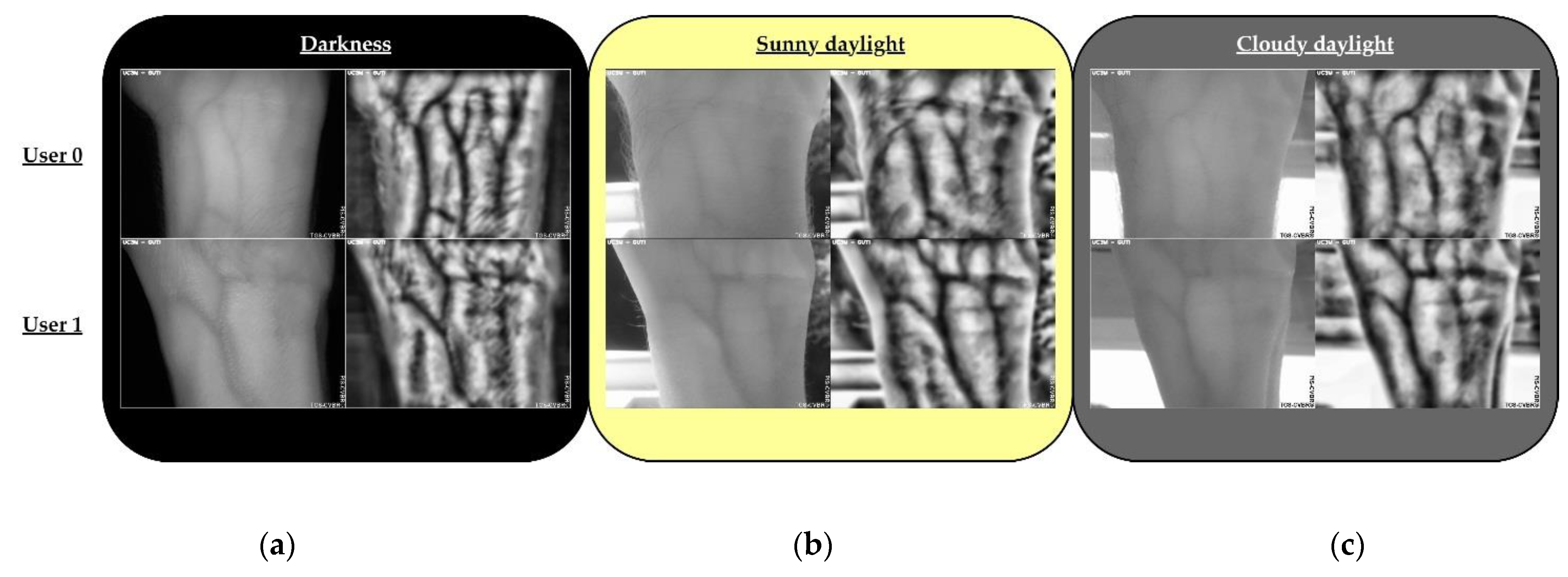 Sensors 20 01469 g010 Sensors 20 01469 g010
