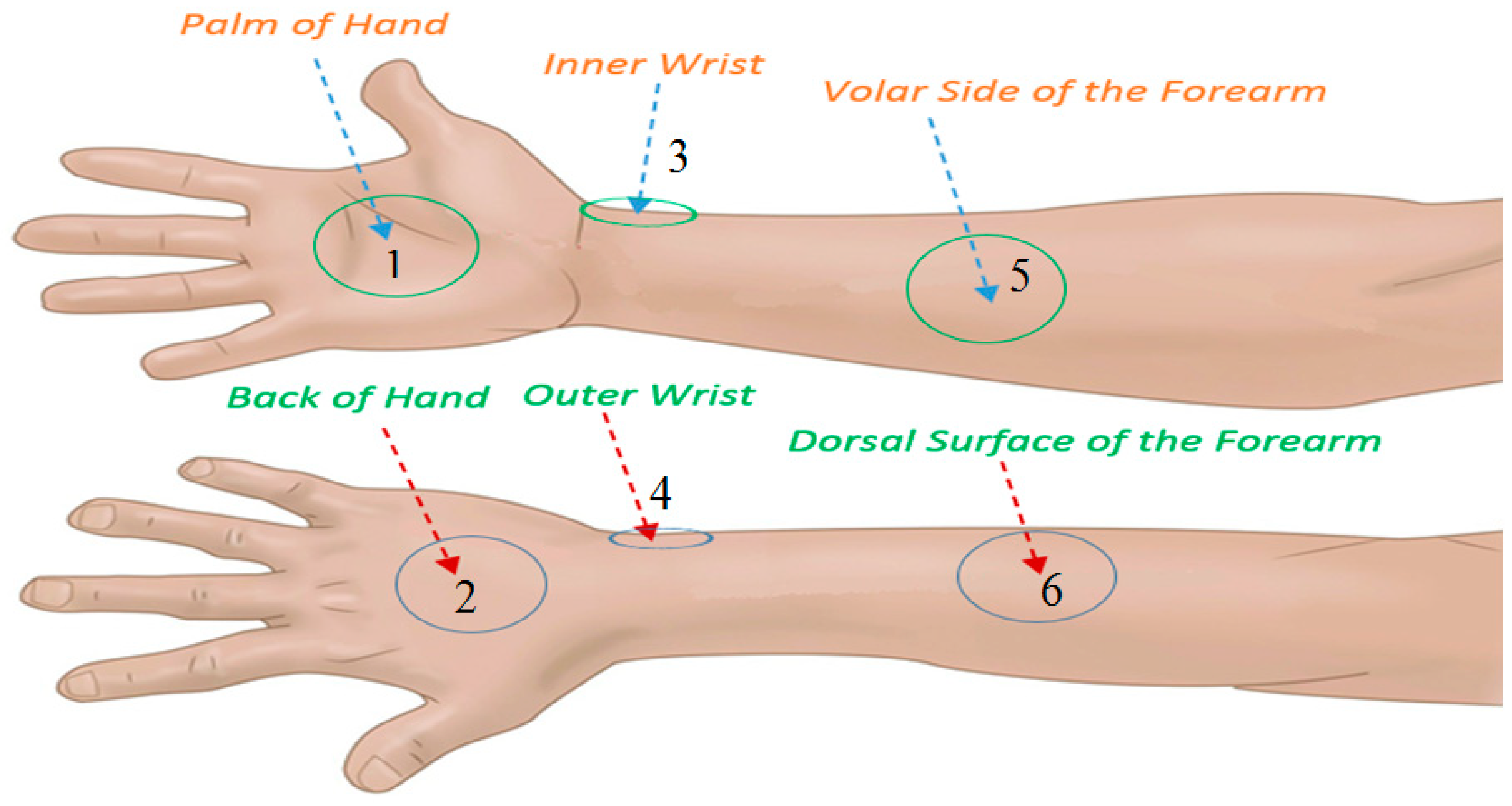 Sensors 20 01480 g002
