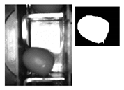 Sensors 20 01541 i004