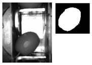 Sensors 20 01541 i007