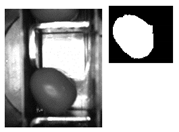 Sensors 20 01541 i008