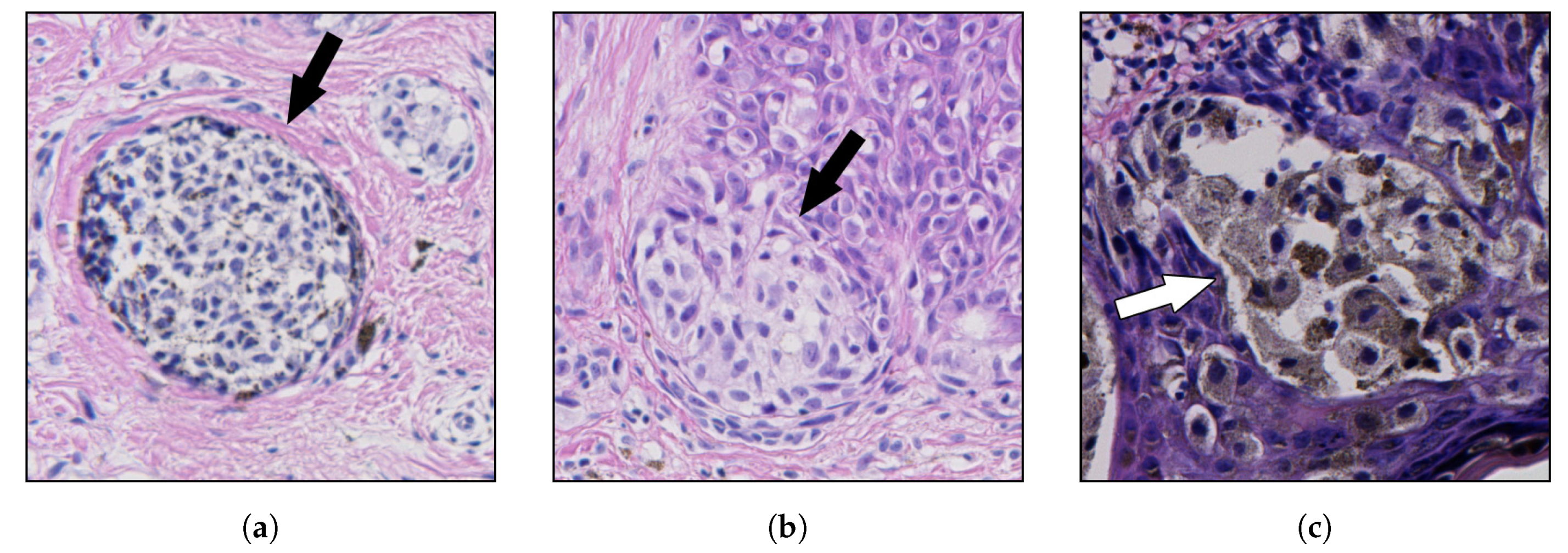 Sensors 20 01546 g001