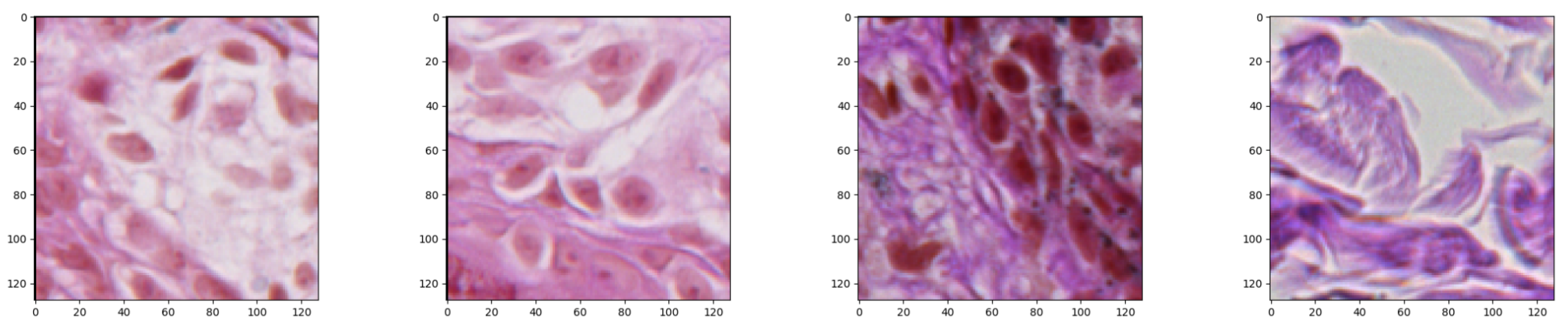 Sensors 20 01546 g004