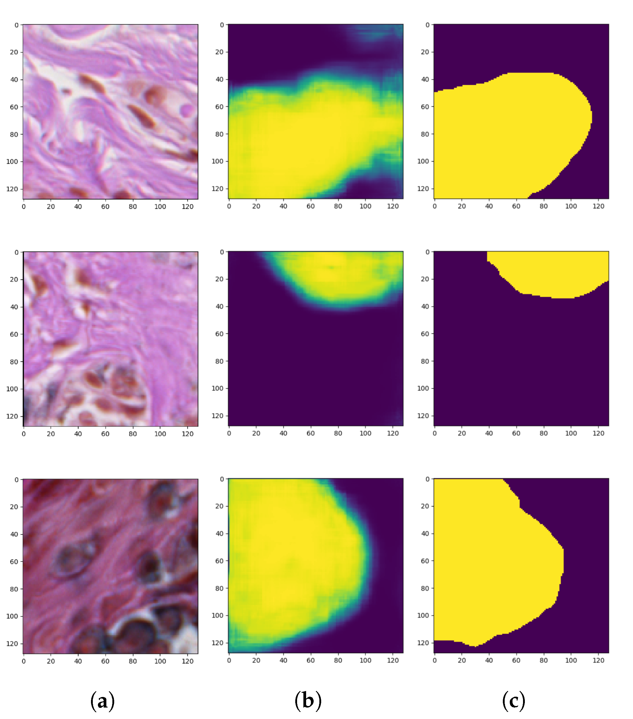 Sensors 20 01546 g008
