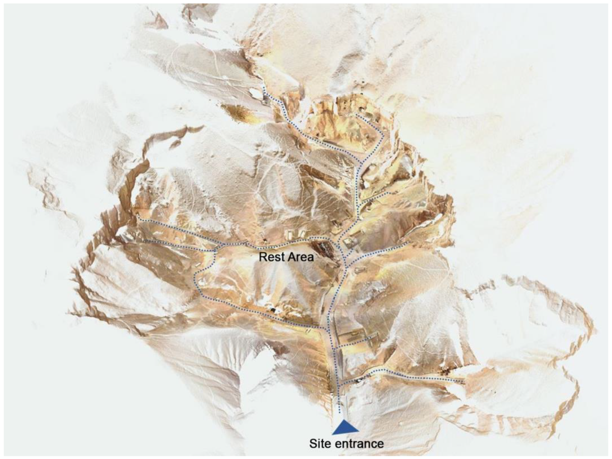 Sensors 20 01552 g003