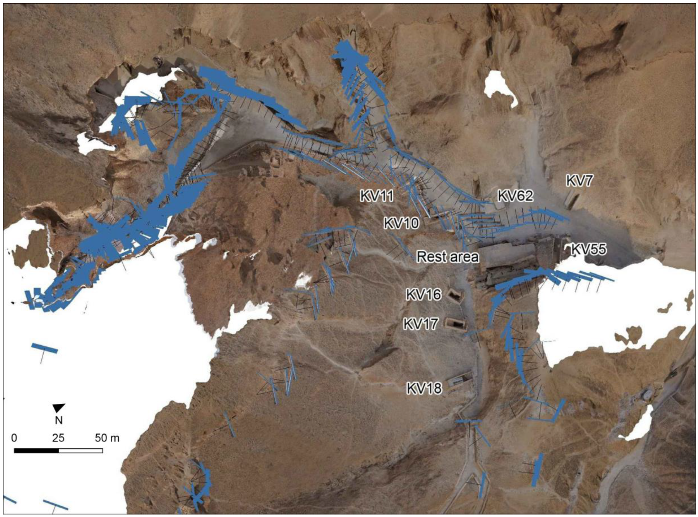 Sensors 20 01552 g006