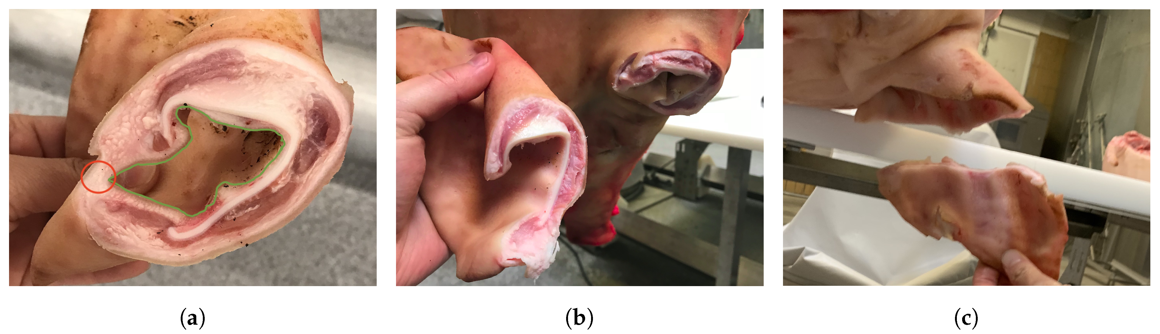 Sensors 20 01563 g002