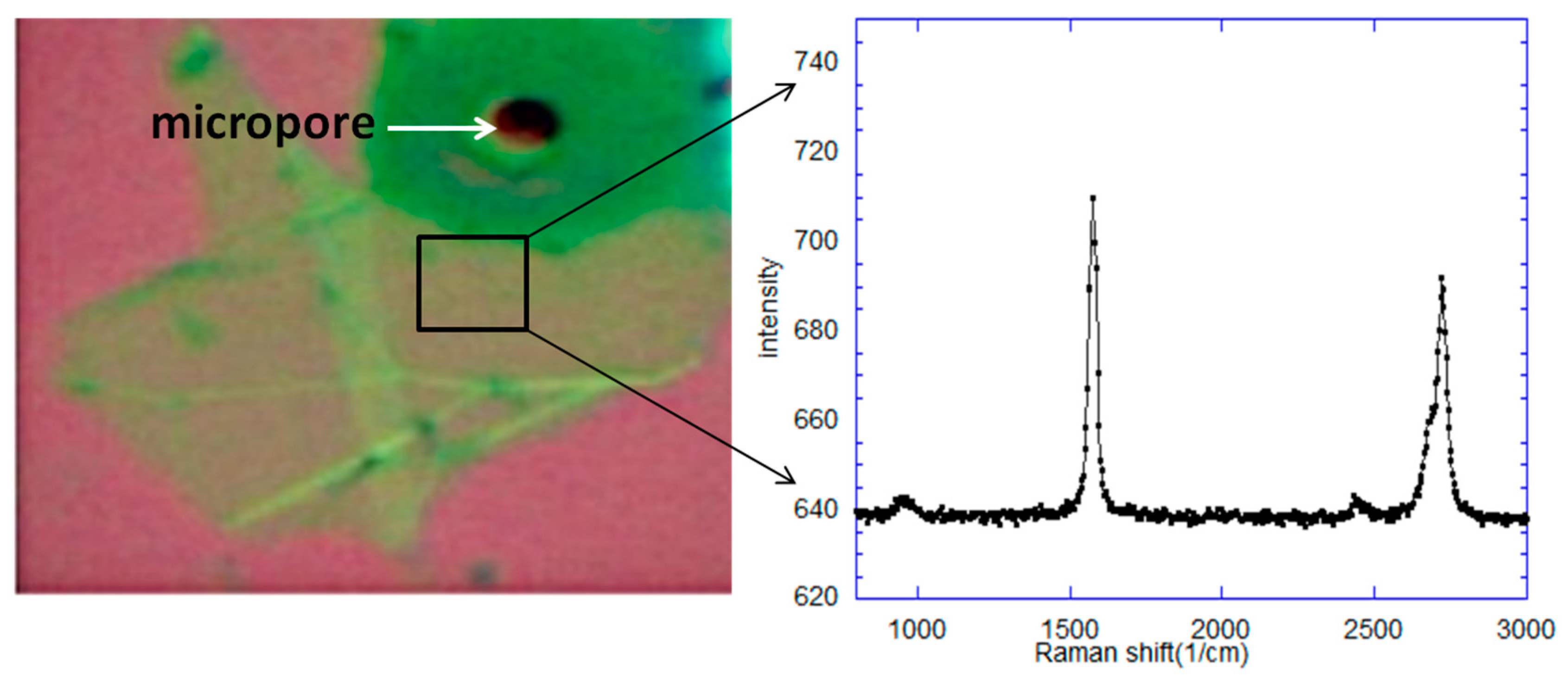 Sensors 20 01572 g004