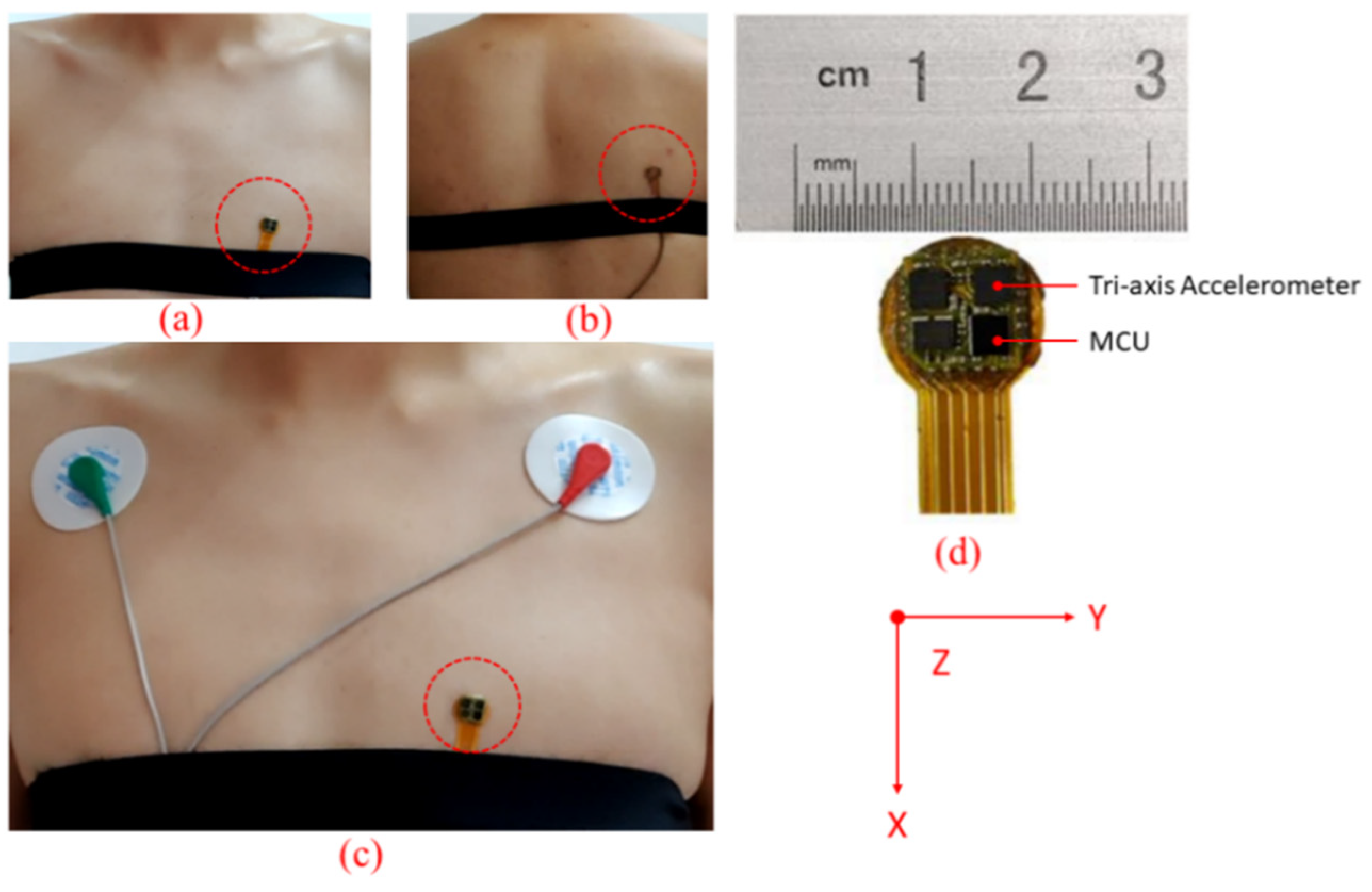 Sensors 20 01596 g003