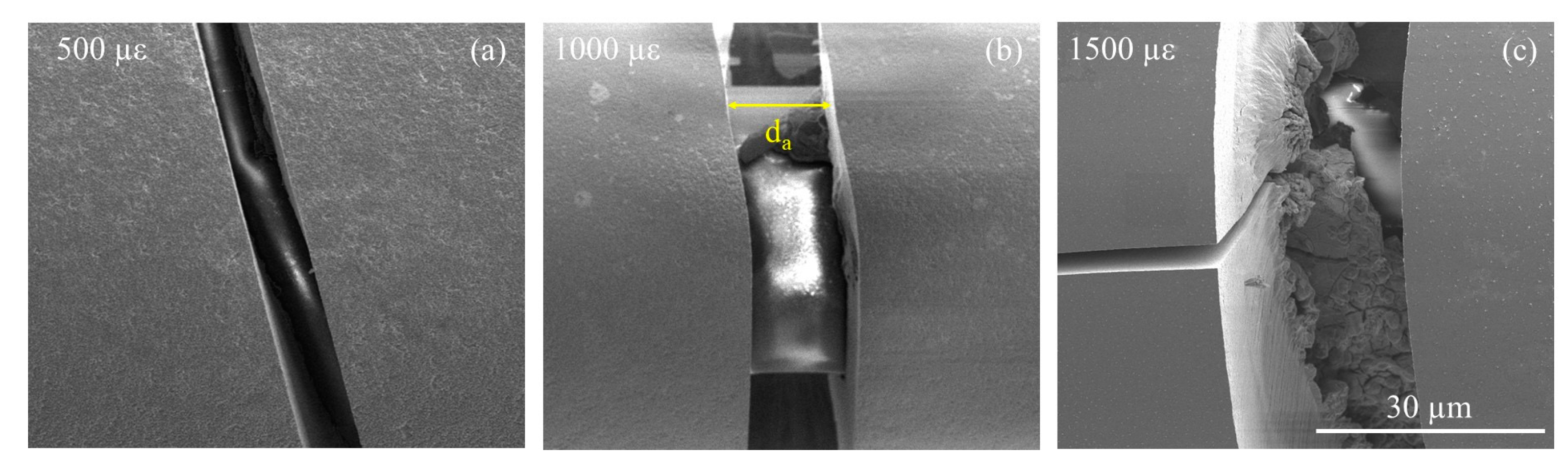 Sensors 20 01598 g005