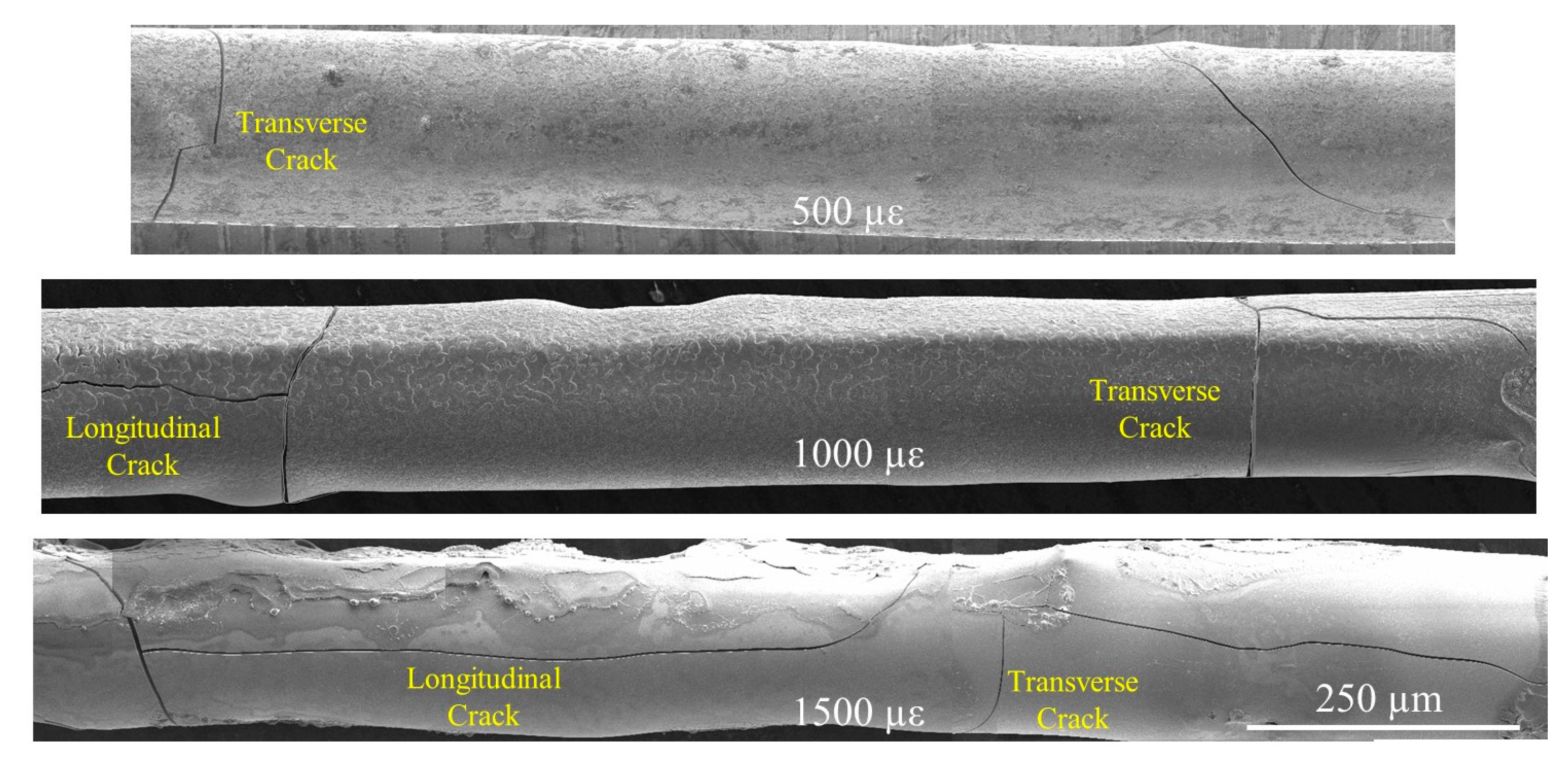 Sensors 20 01598 g006