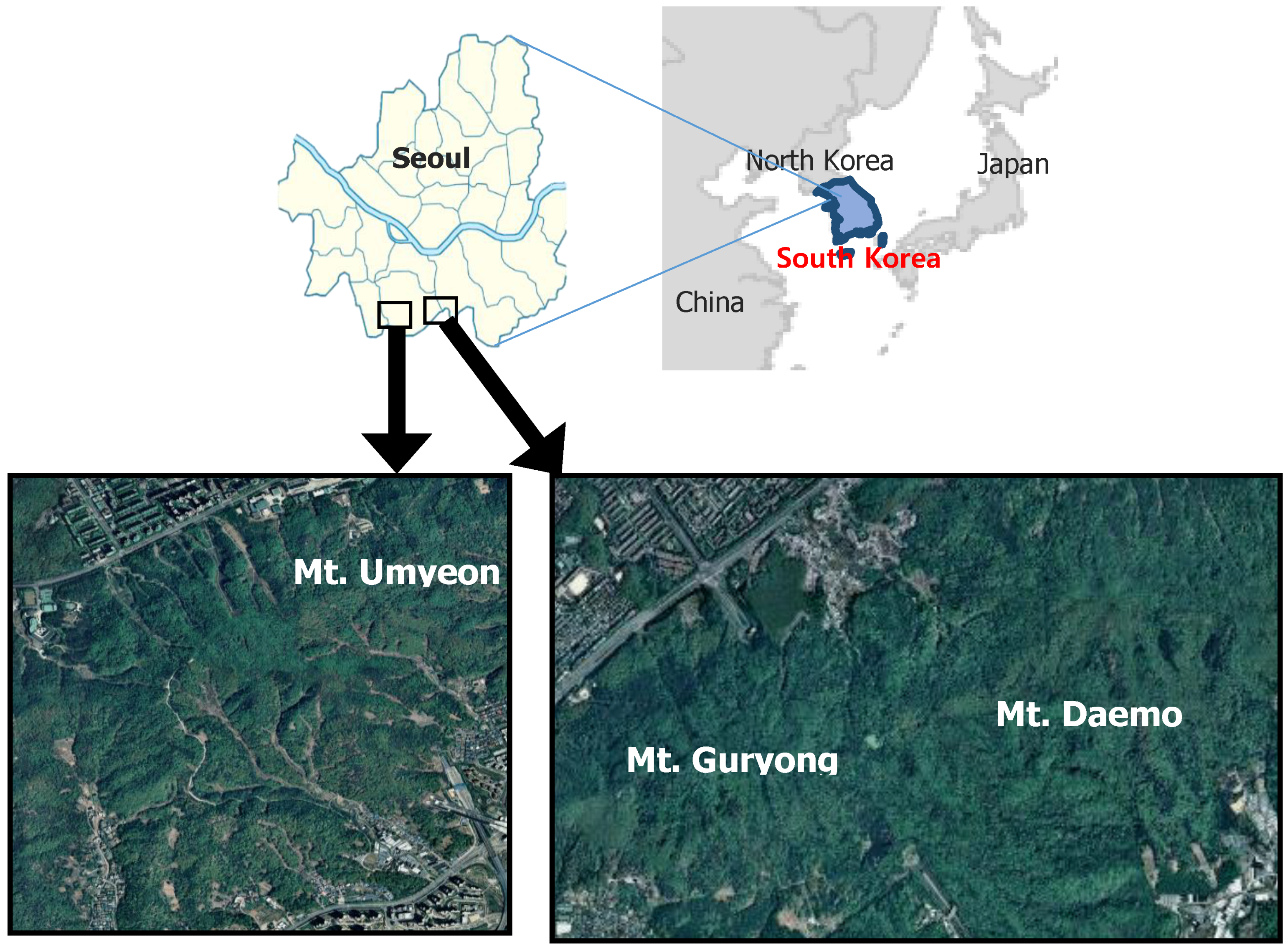 Sensors 20 01611 g001