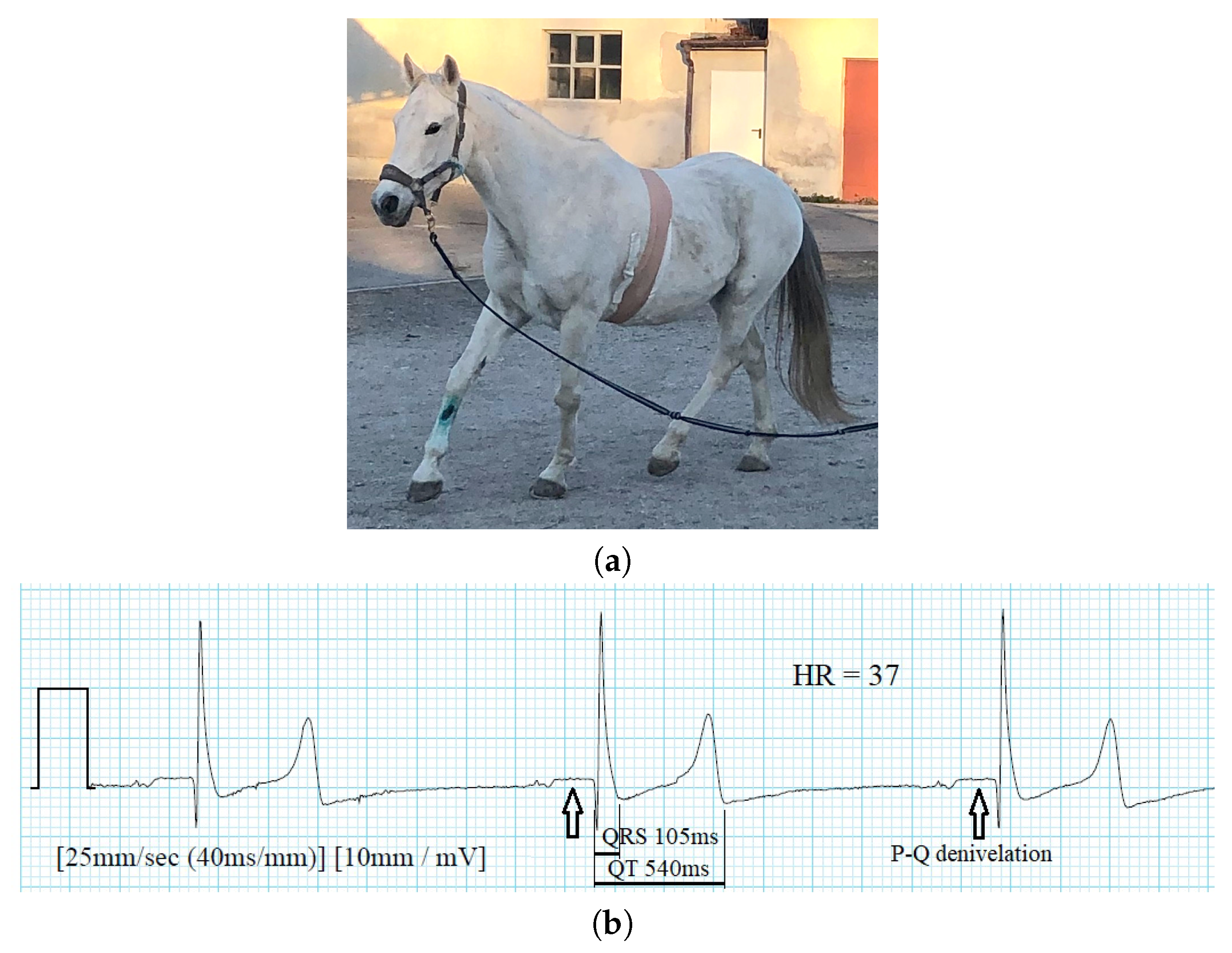 Sensors 20 01695 g013
