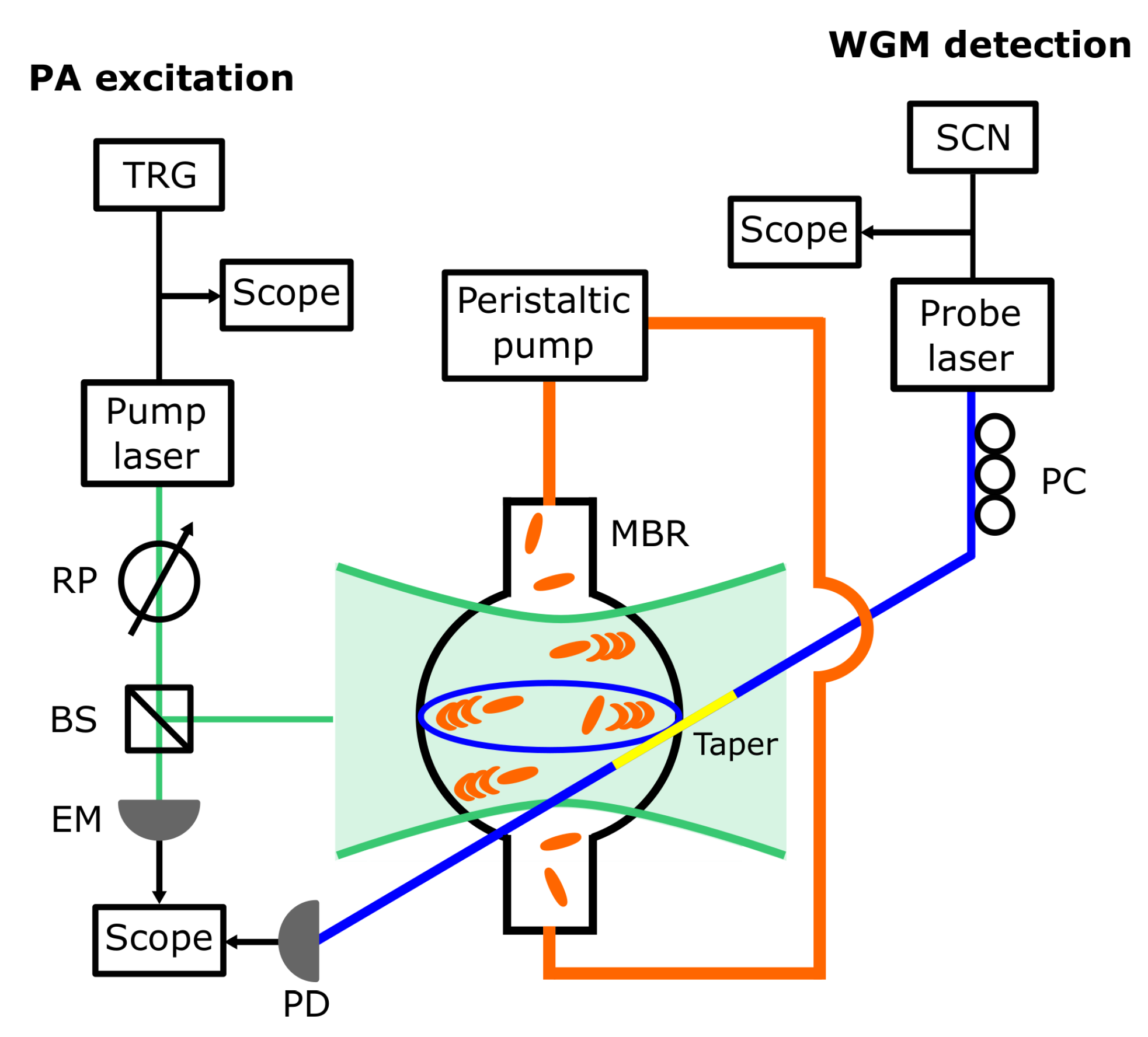 Sensors 20 01696 g001
