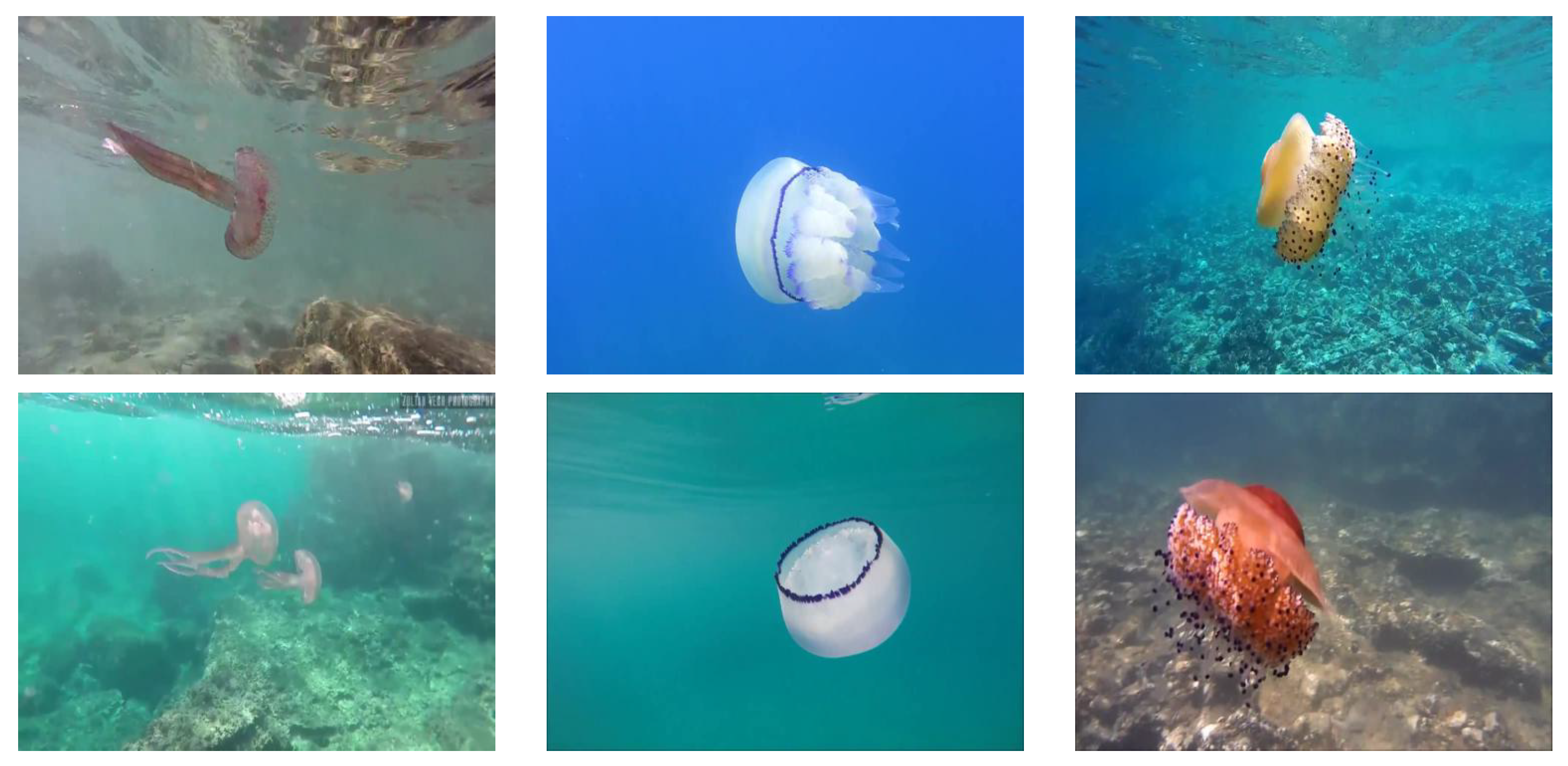 Sensors 20 01708 g003