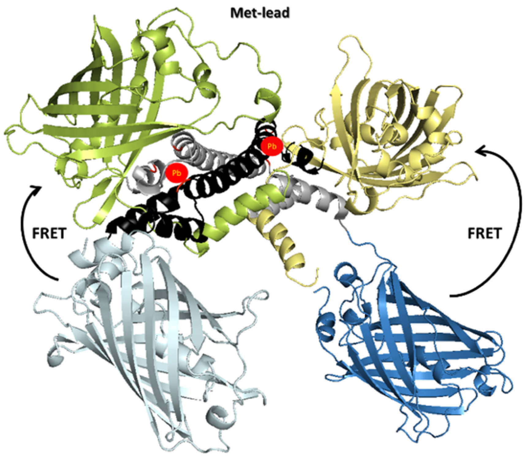 Sensors 20 01712 g001