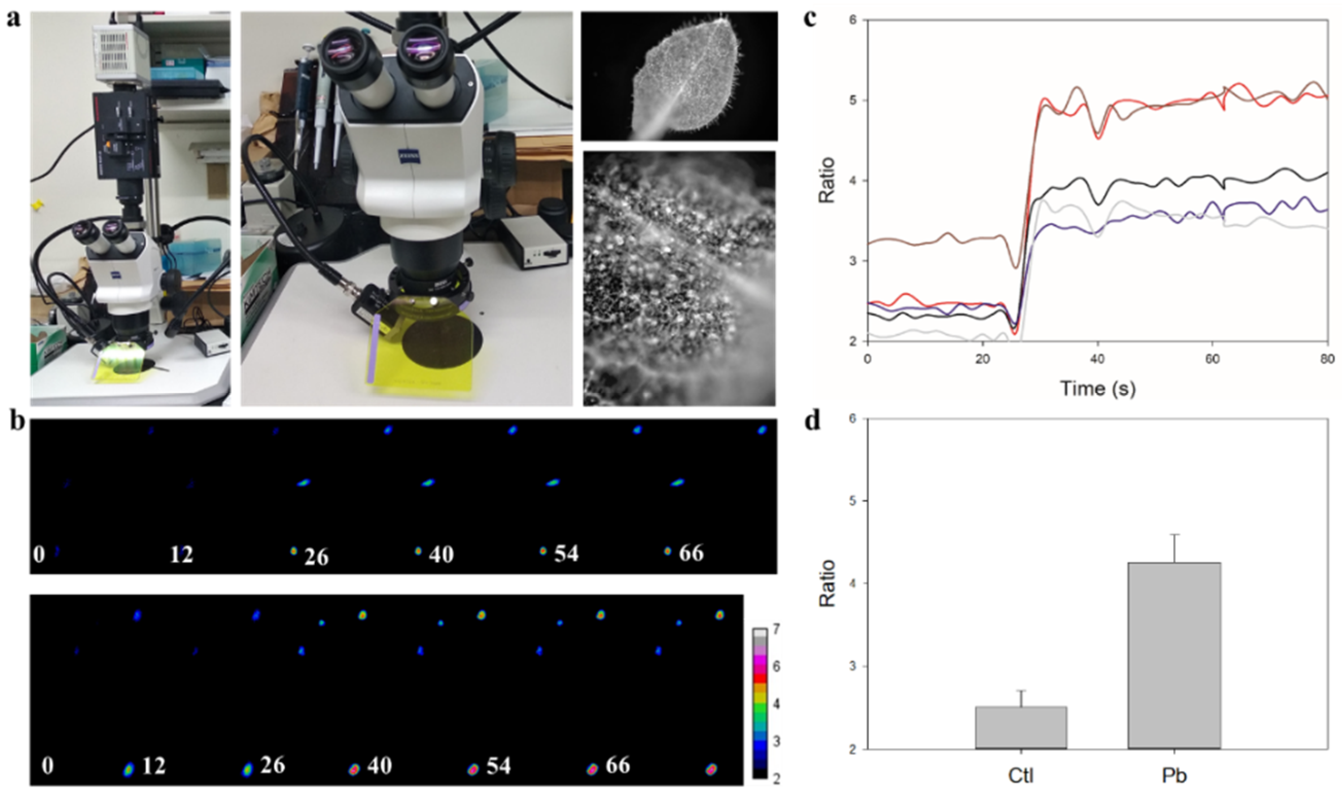 Sensors 20 01712 g002