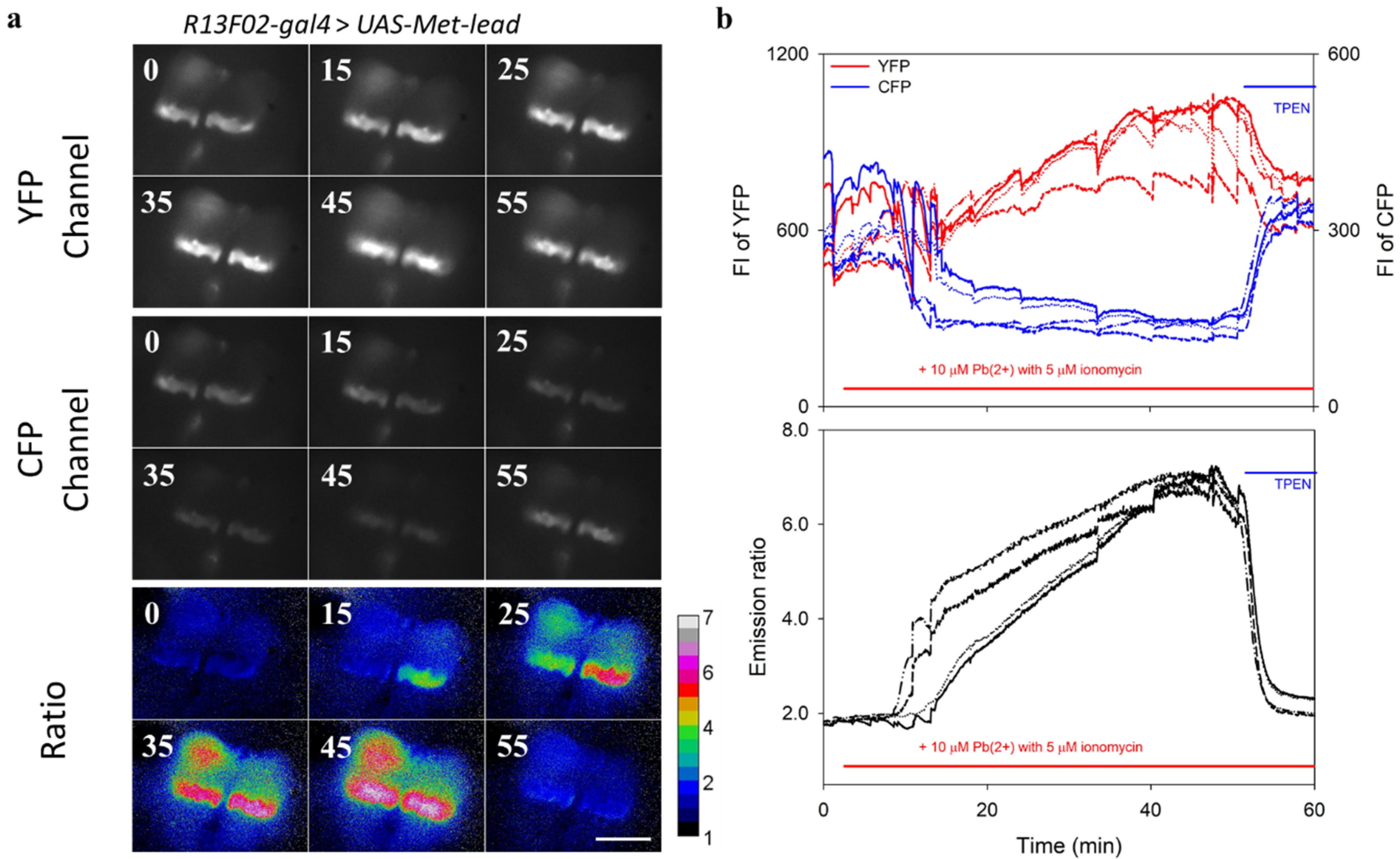 Sensors 20 01712 g004