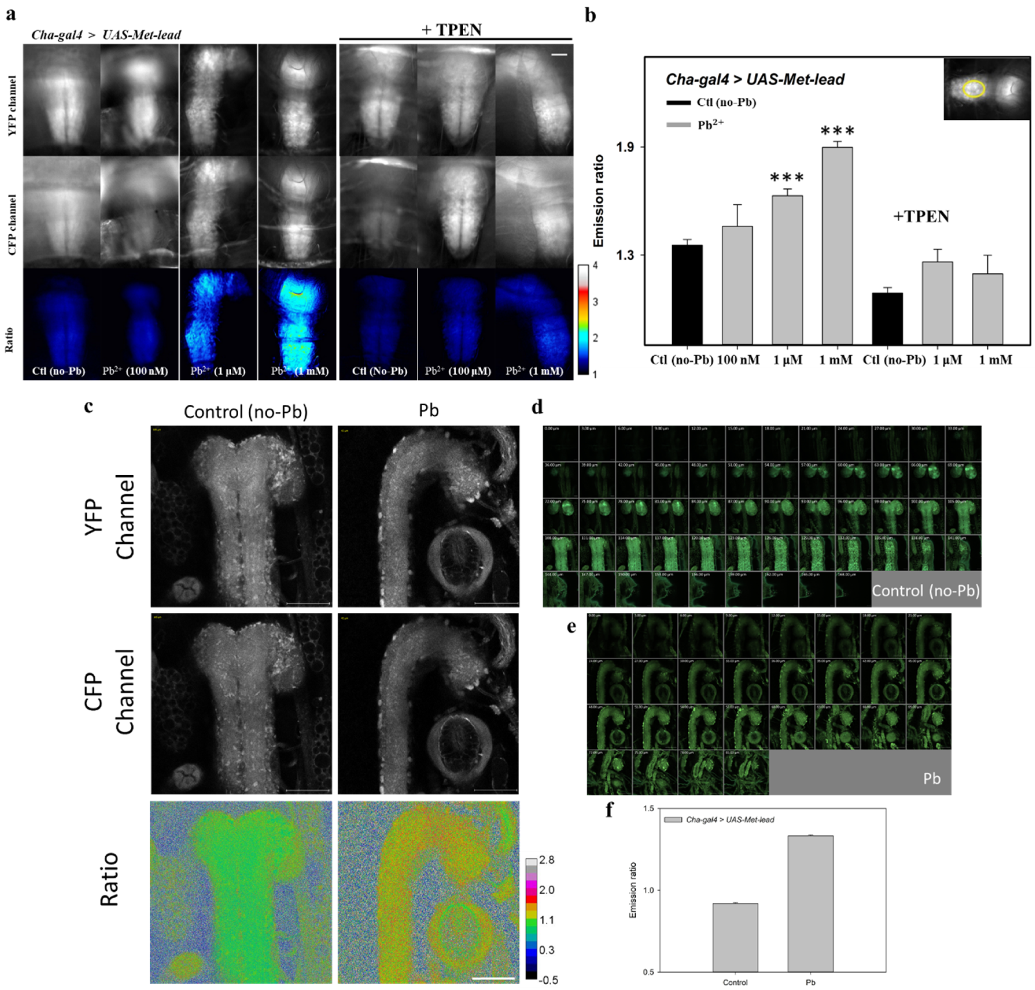 Sensors 20 01712 g005