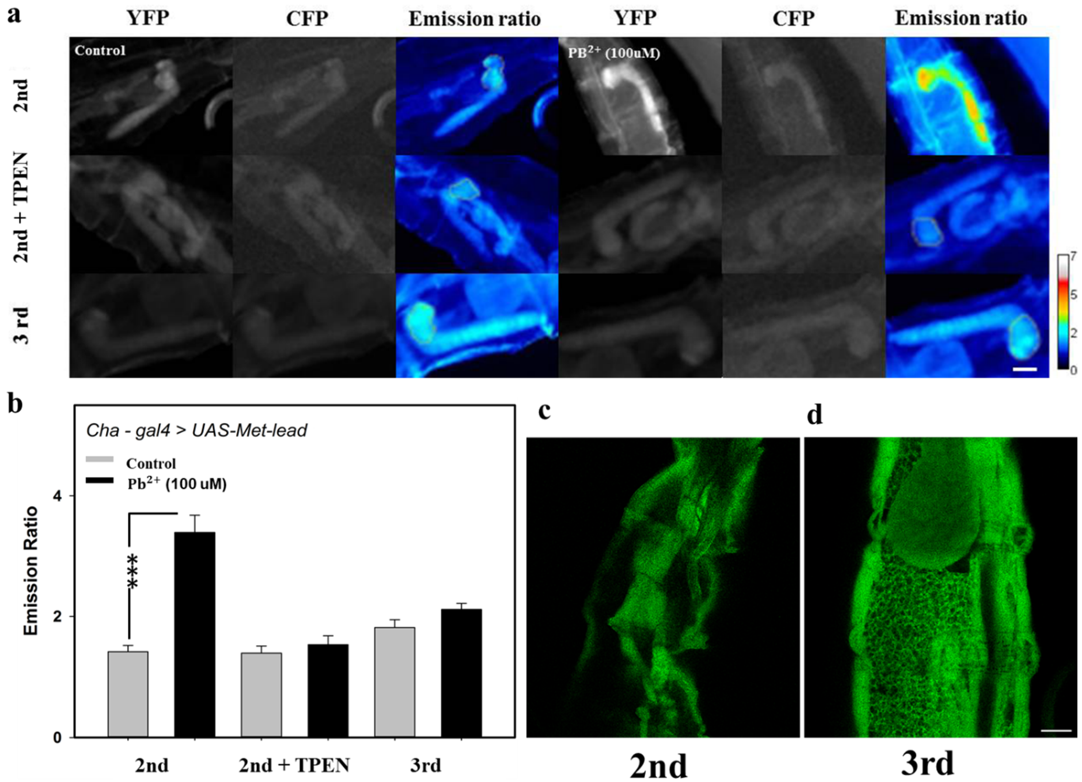 Sensors 20 01712 g006