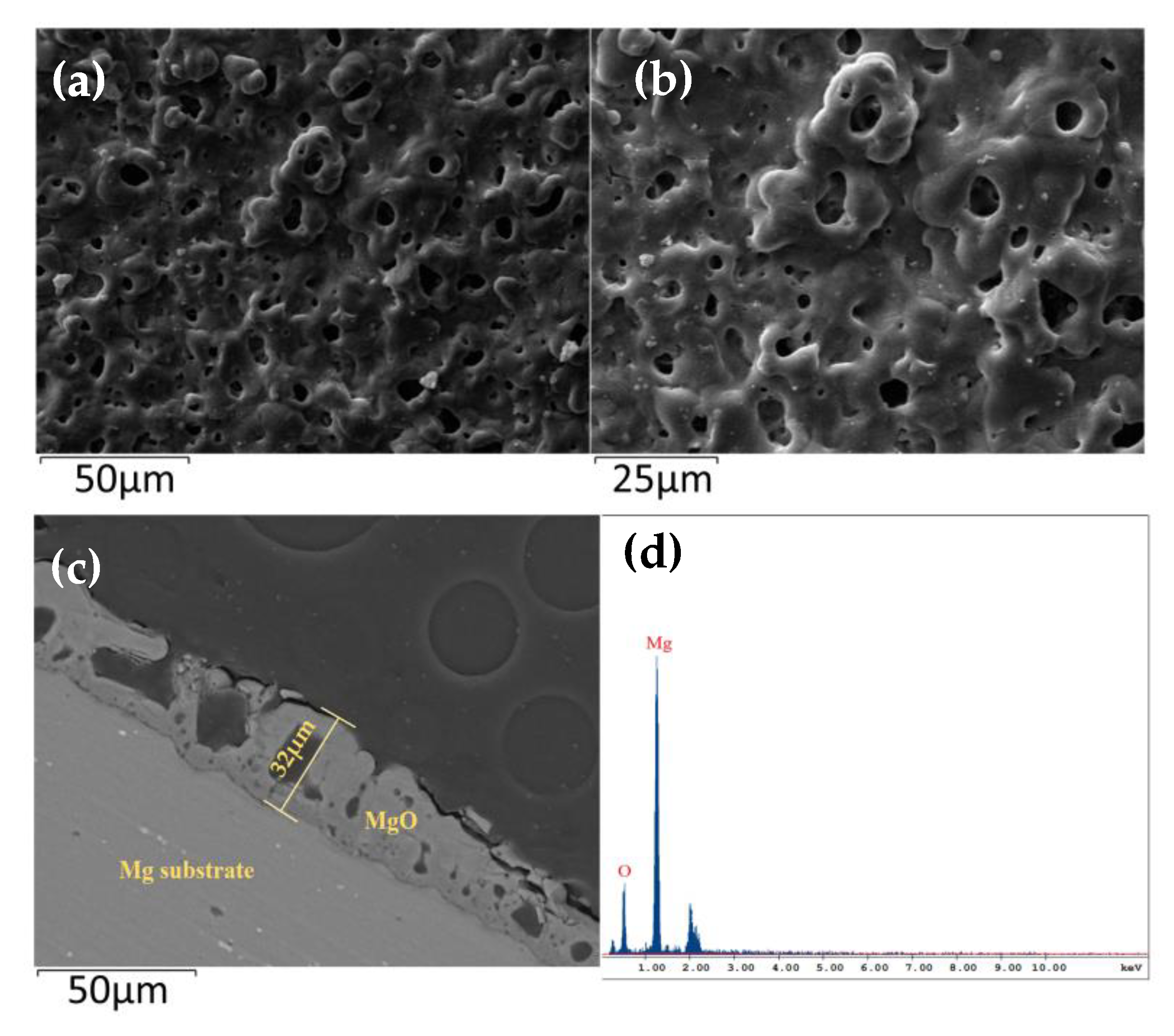 Sensors 20 01736 g003