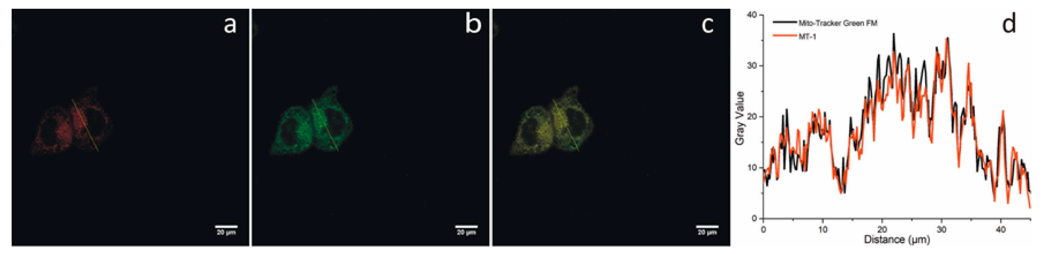 Sensors 20 01746 g005