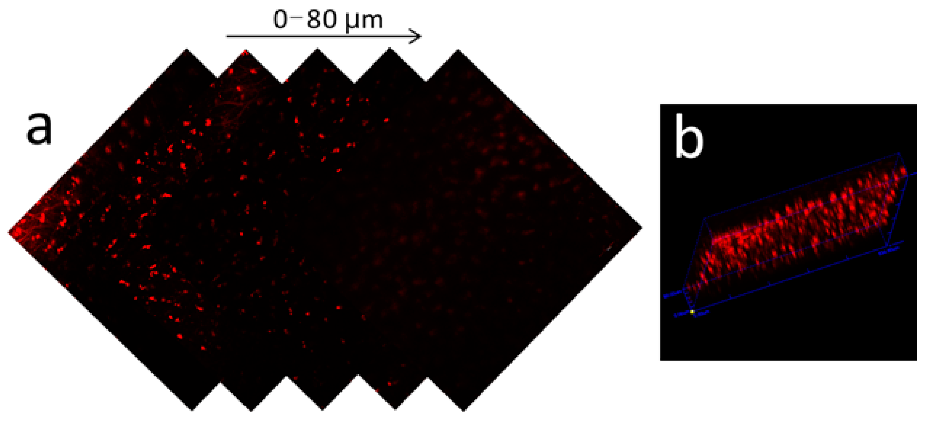 Sensors 20 01746 g007