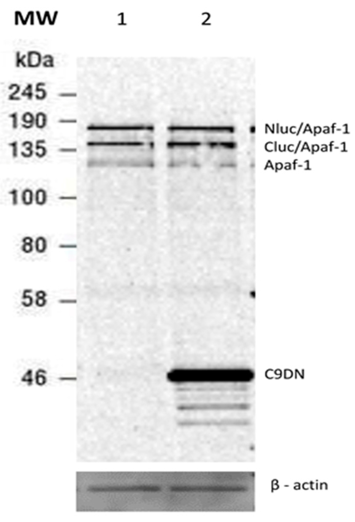 Sensors 20 01782 g005