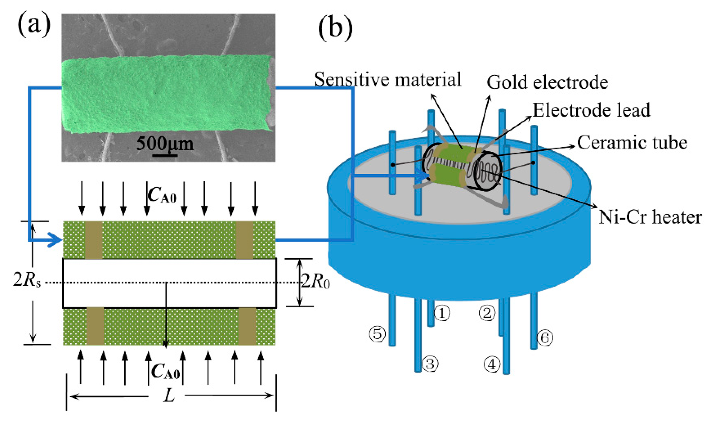 Sensors 20 01787 g001 Sensors 20 01787 g001
