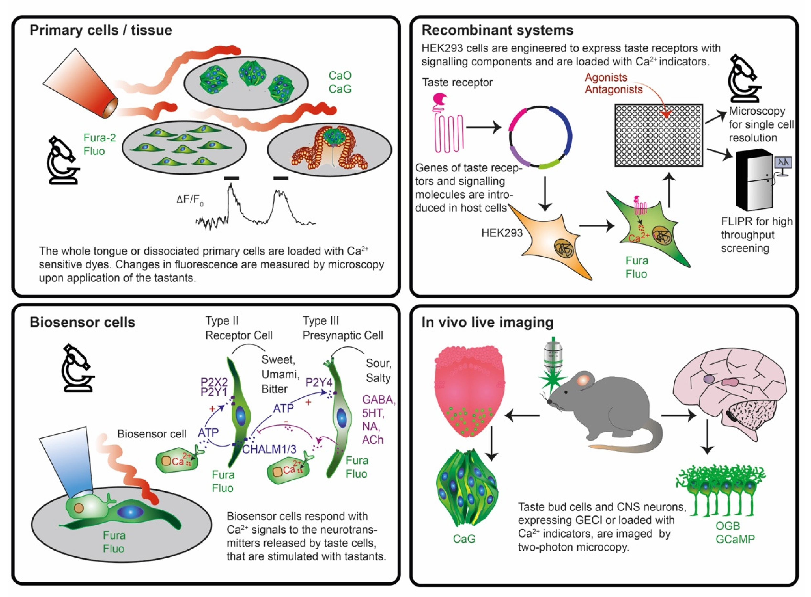 Sensors 20 01811 g003